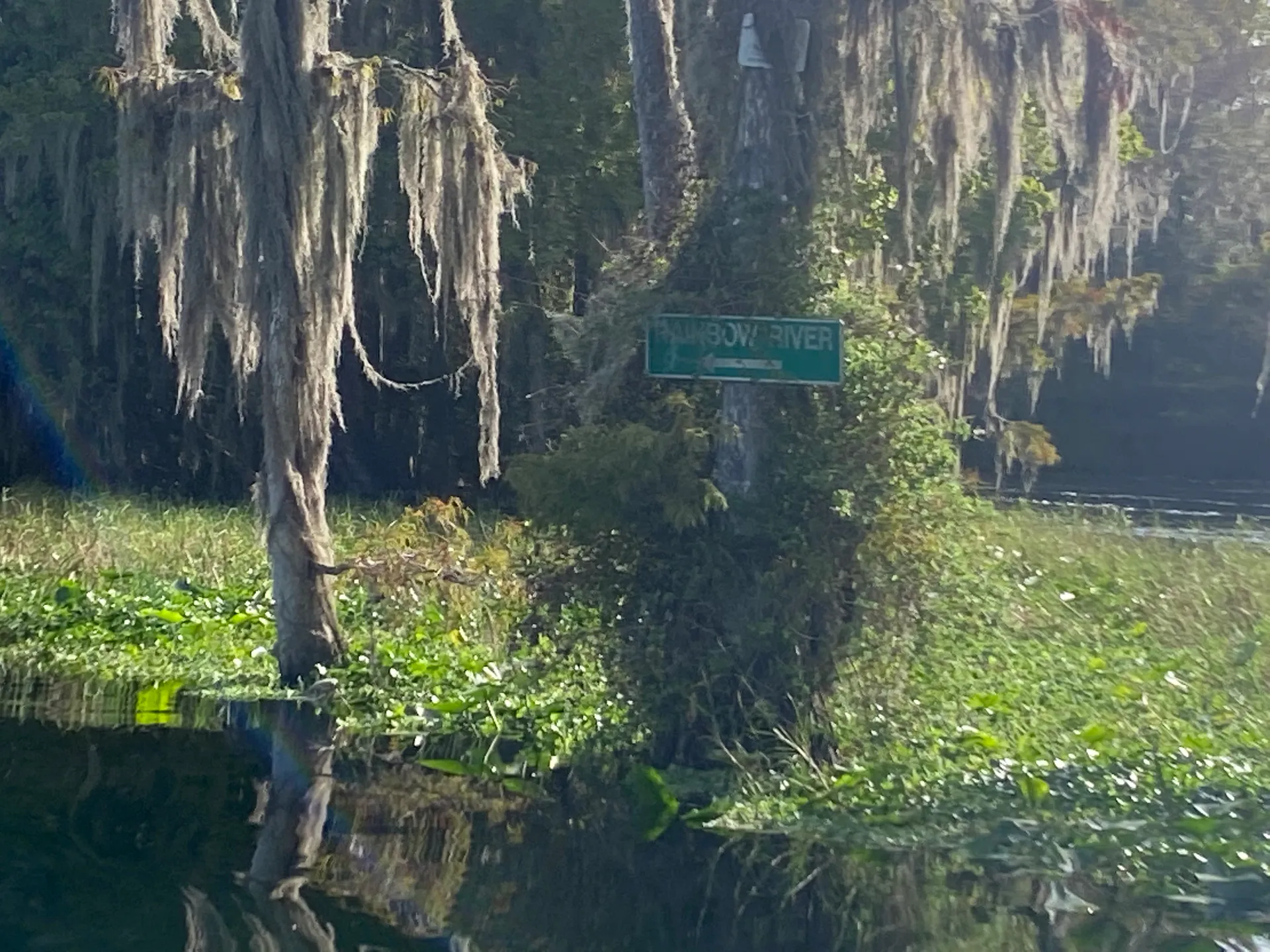 National Pontoon Boats Pond Toon in Dunnellon, FL — photo 8