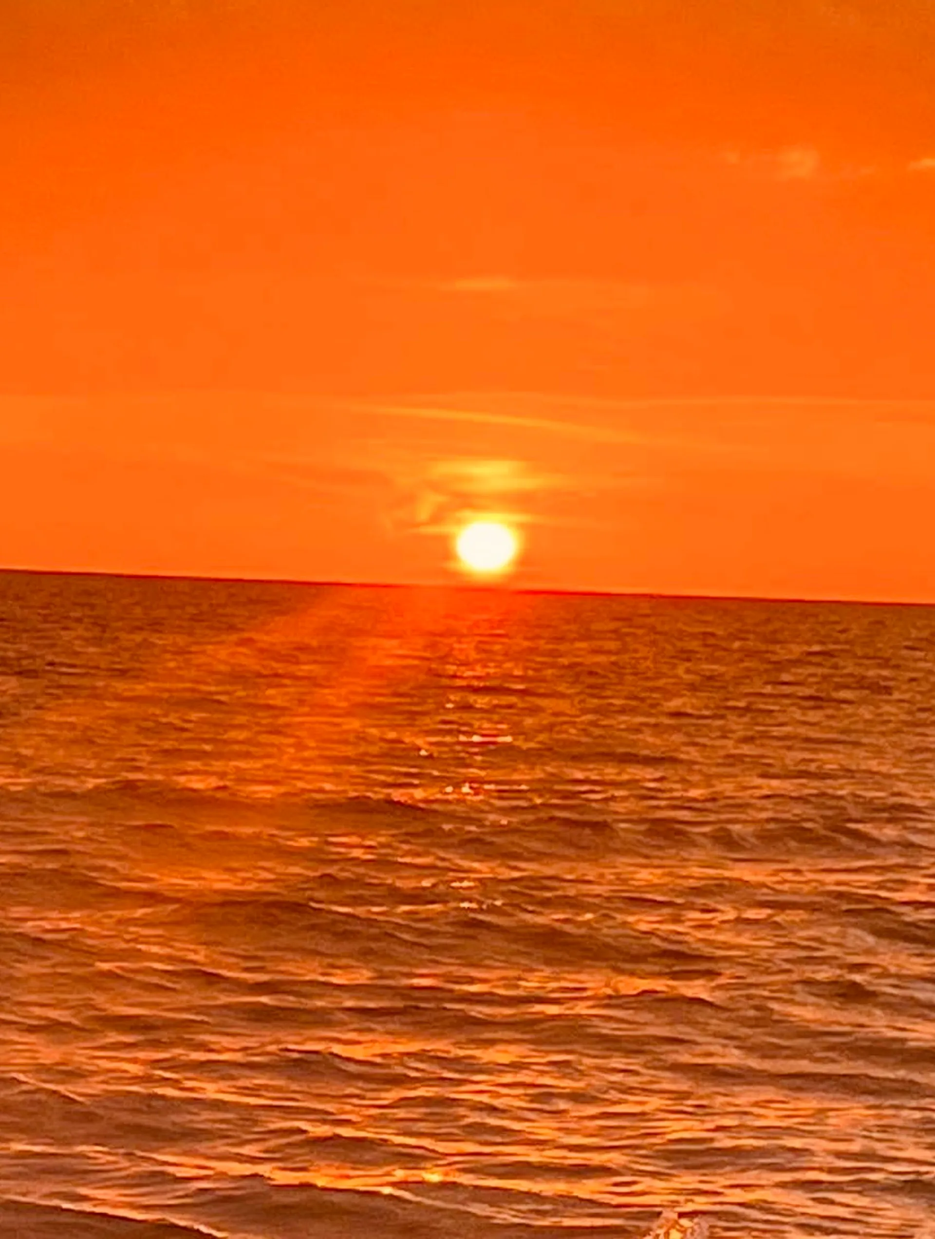 Sea Ray SPX 210 (Captain & Fuel Included) 6 passengers max