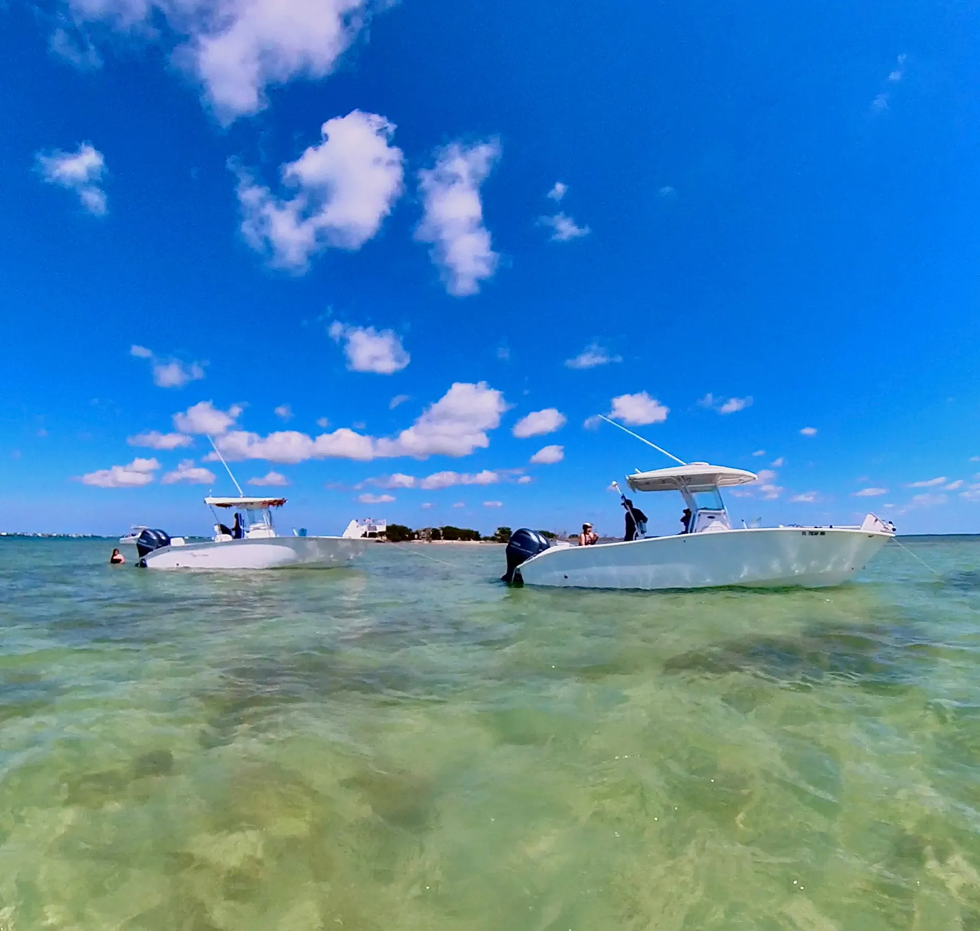 Reef snorkeling and Sandbar Tour