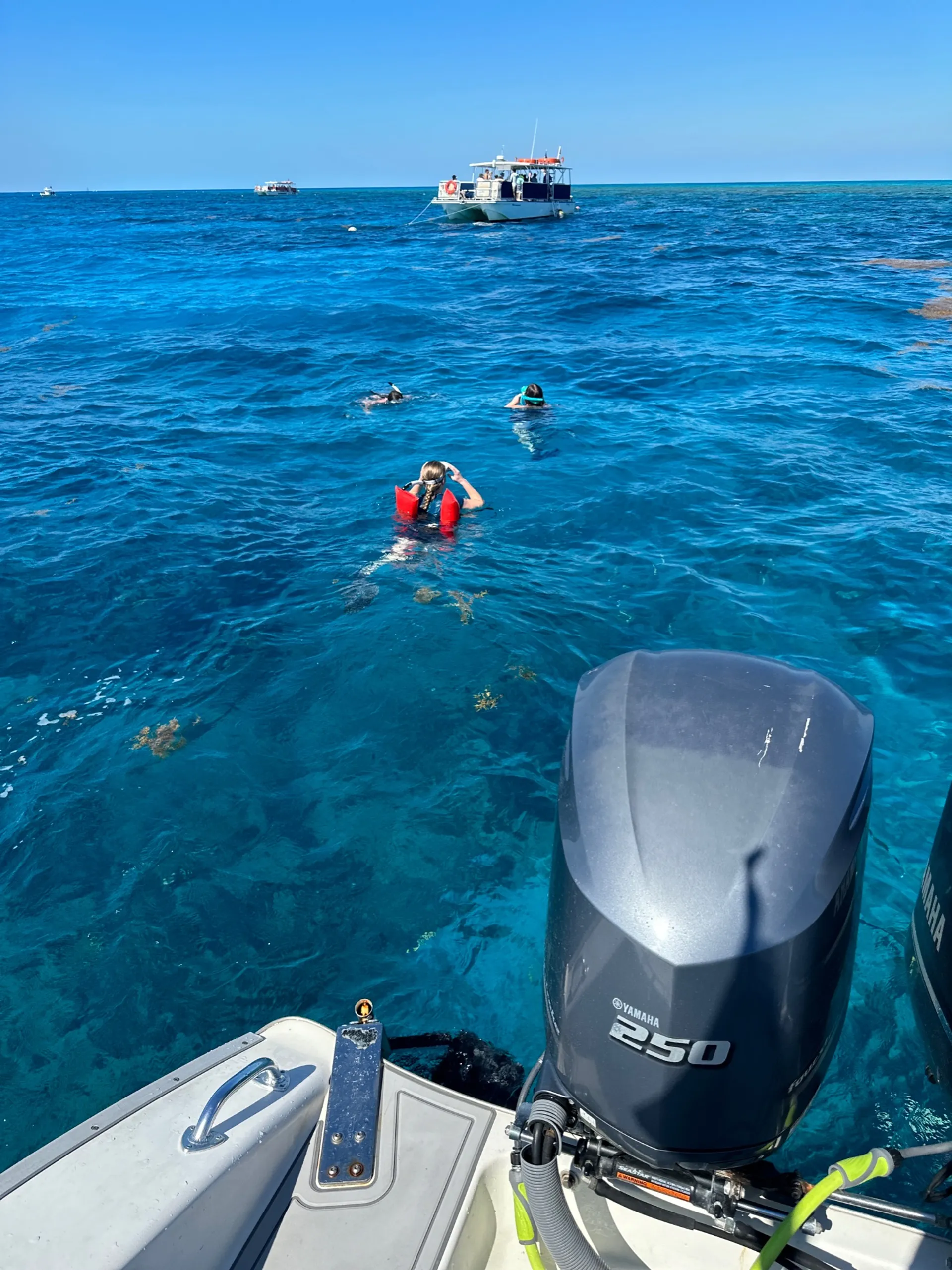 Reef snorkeling and Sandbar Tour