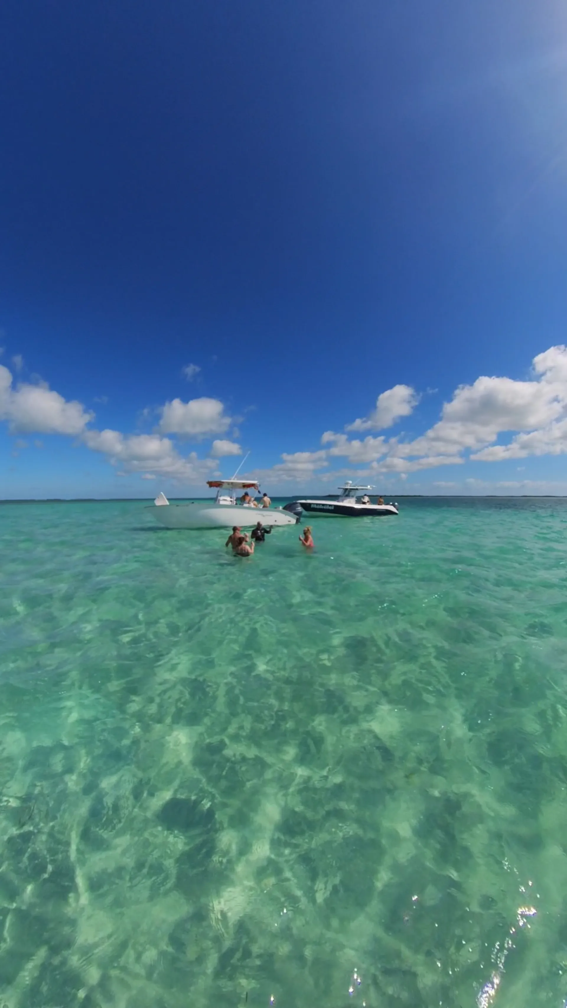 Reef snorkeling and Sandbar Tour