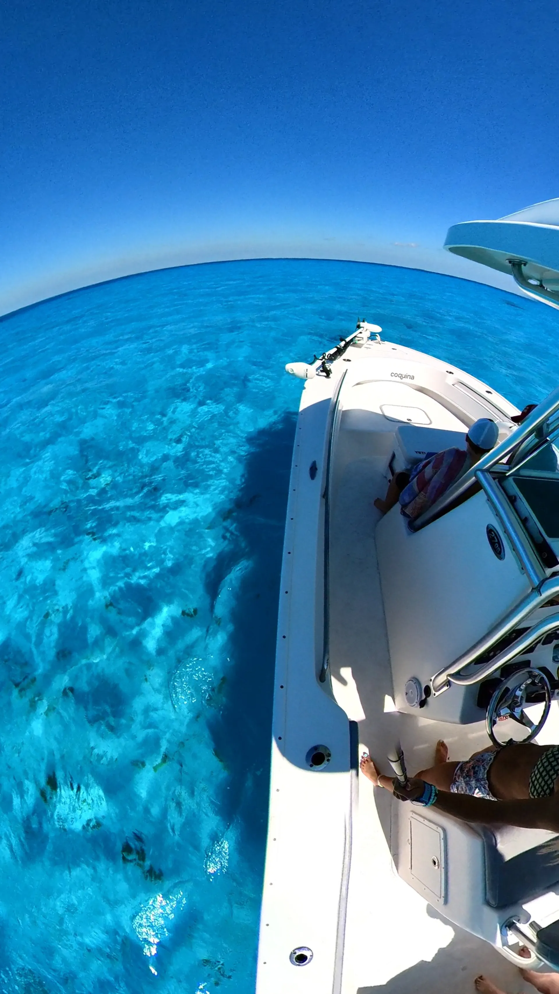 Reef snorkeling and Sandbar Tour