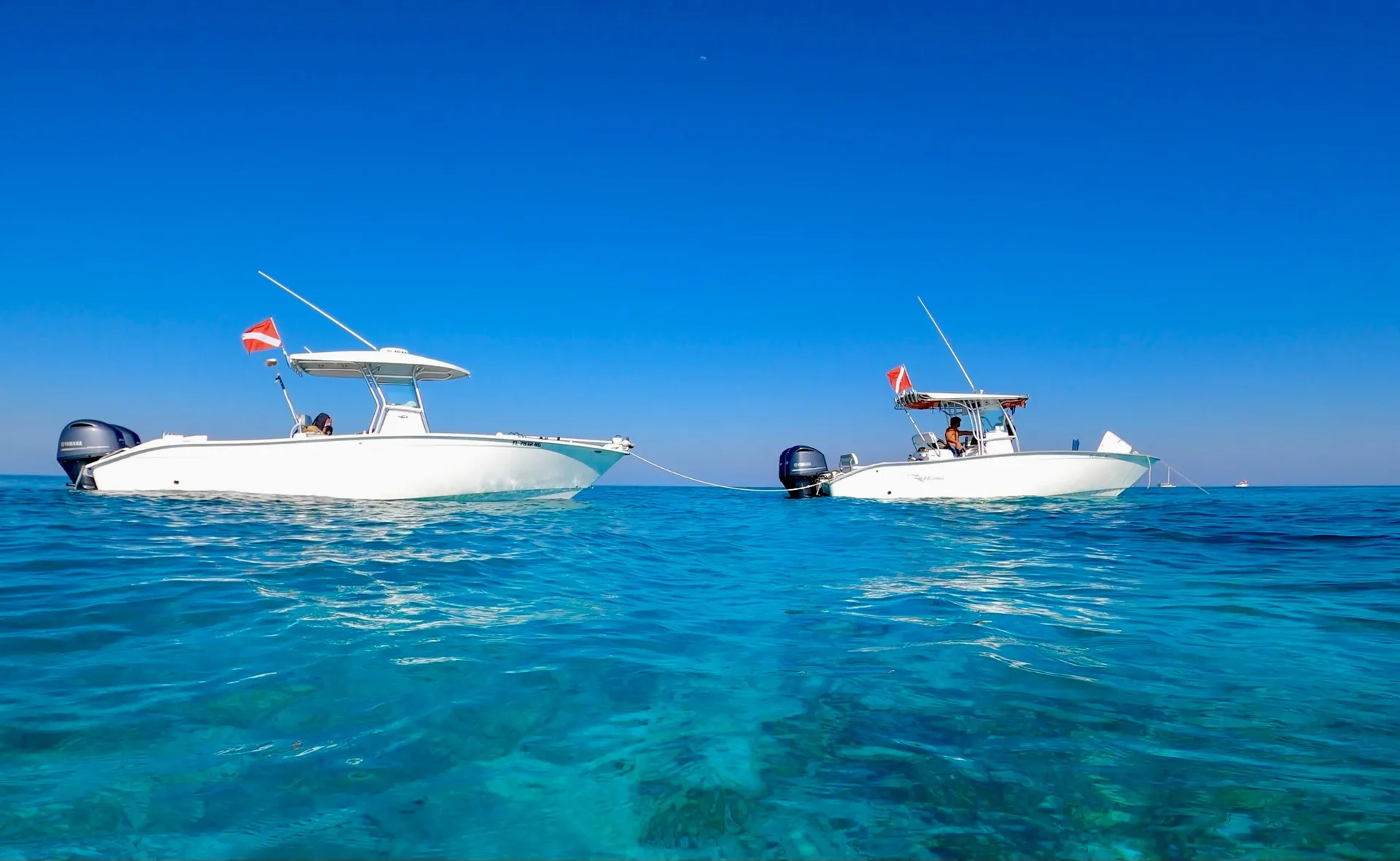 Reef snorkeling and Sandbar Tour