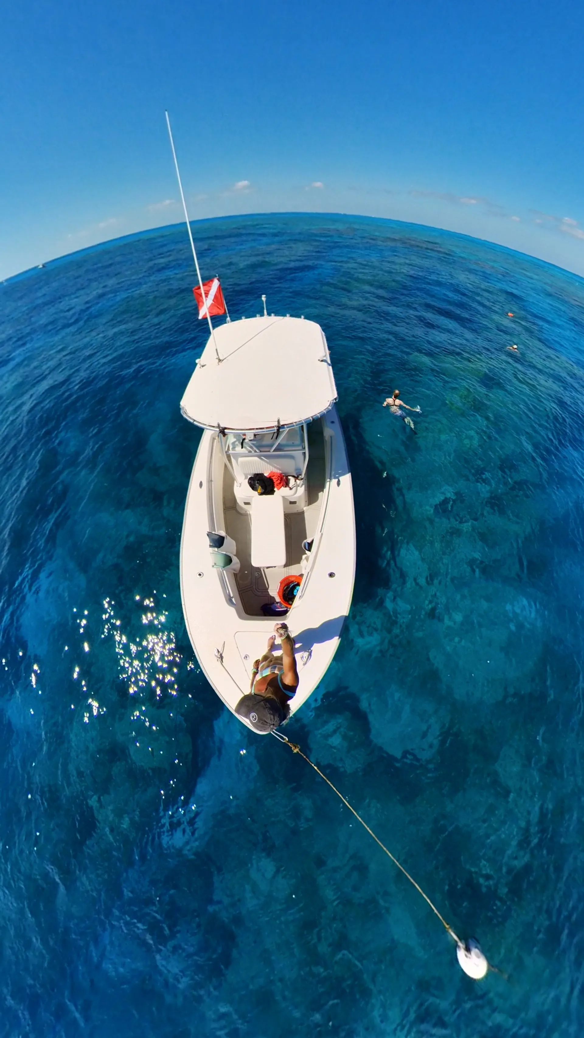 Reef snorkeling and Sandbar Tour