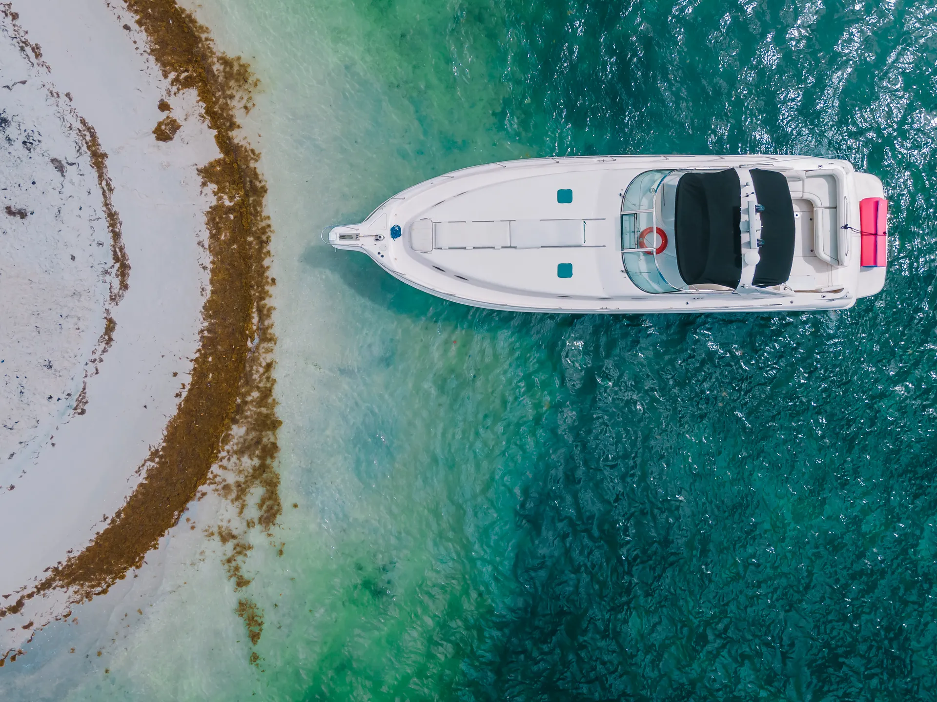 Sea Ray Boats 460 Sundancer in Miami, FL — photo 8