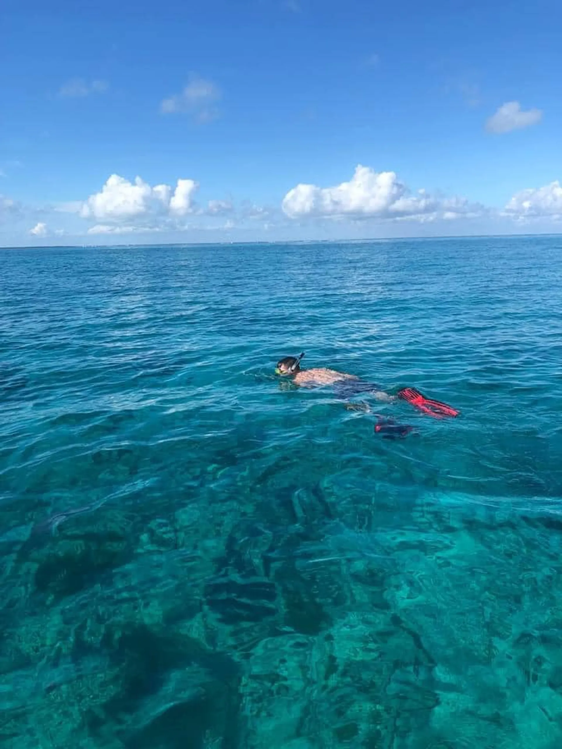 2023 Release Panga Fishing Boat 7 Passengers