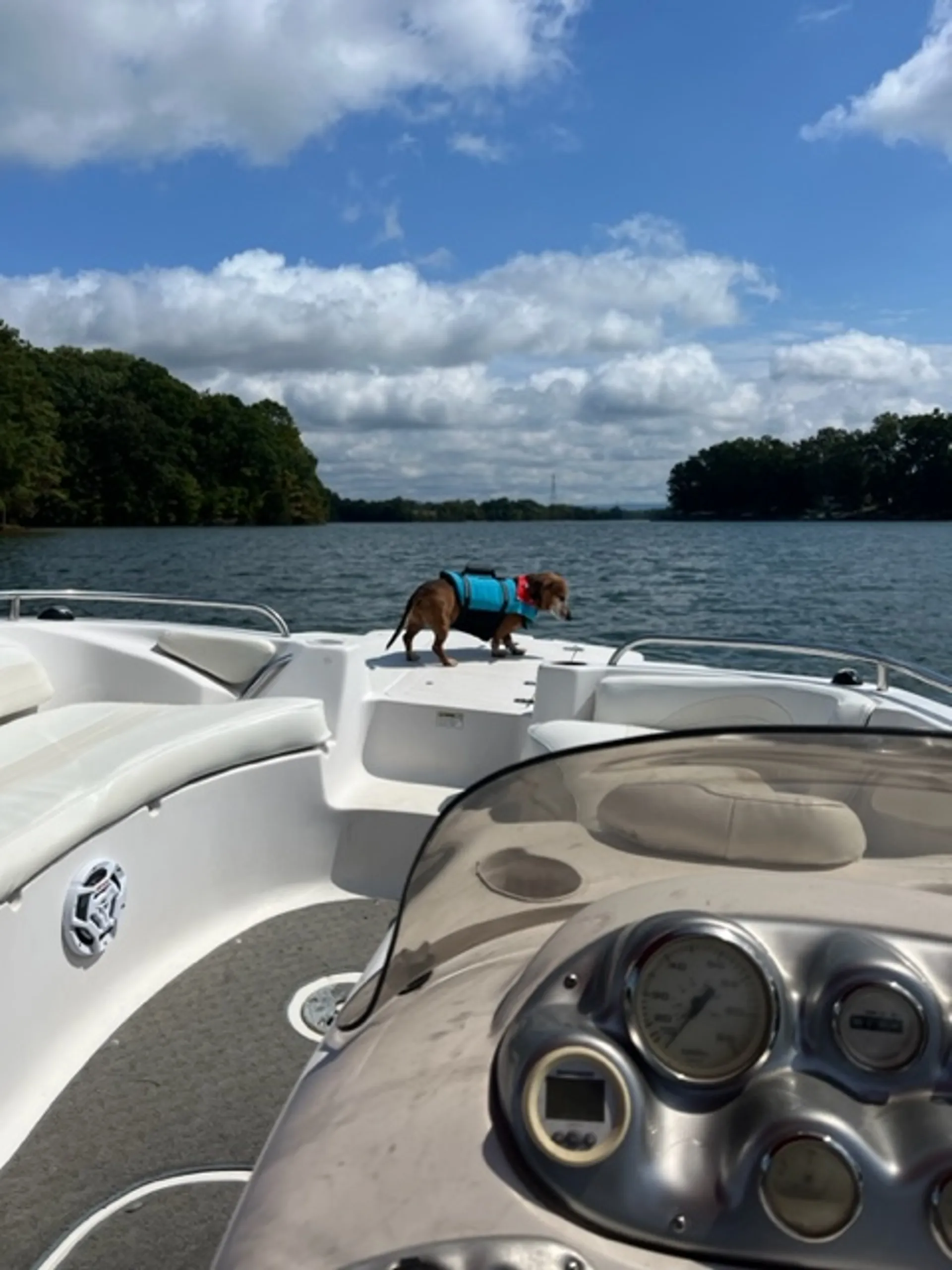 Starcraft Stardeck Aurora 2000 in Winchester, TN — photo 5