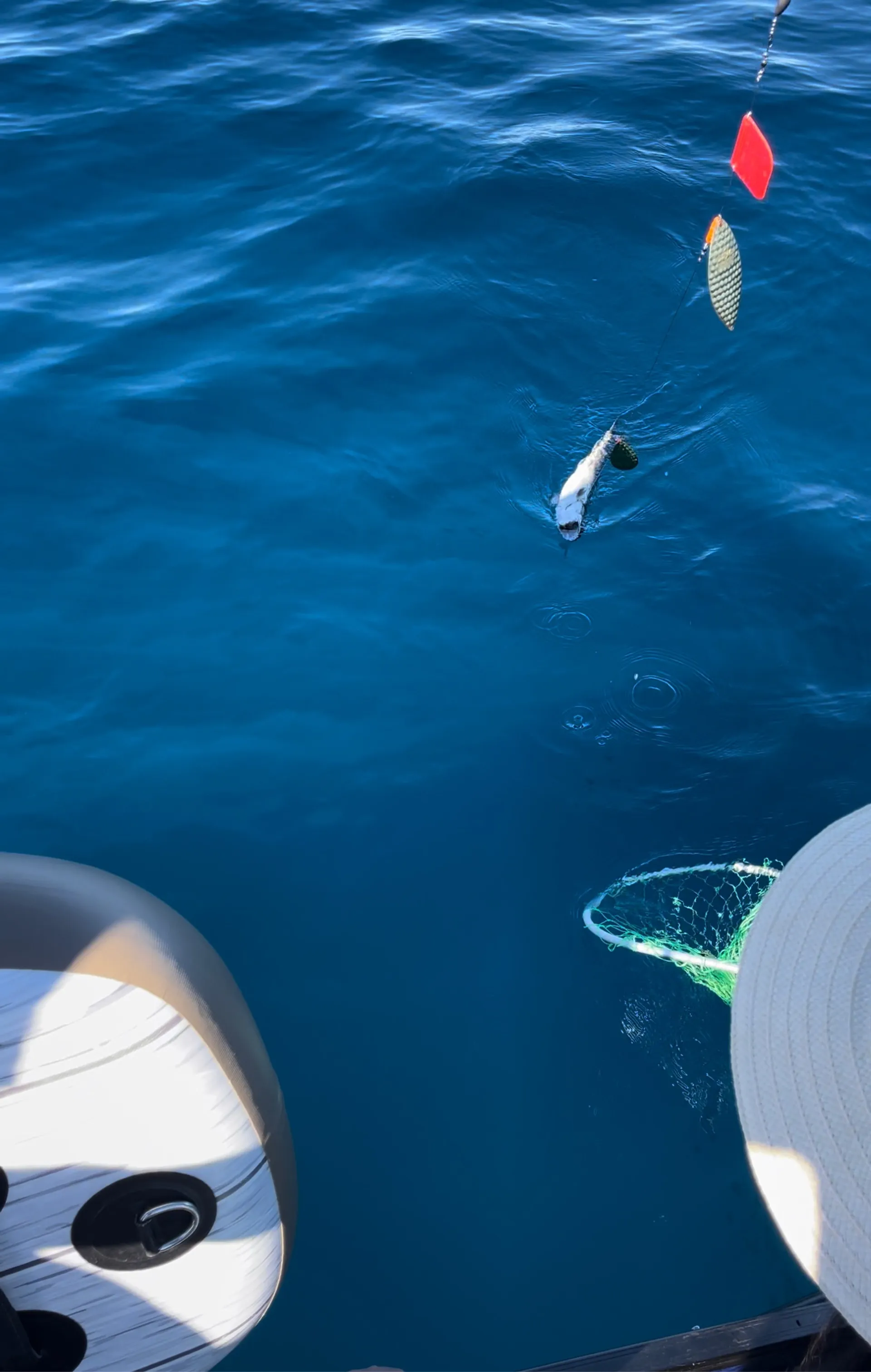 Style, Beauty & Comfort