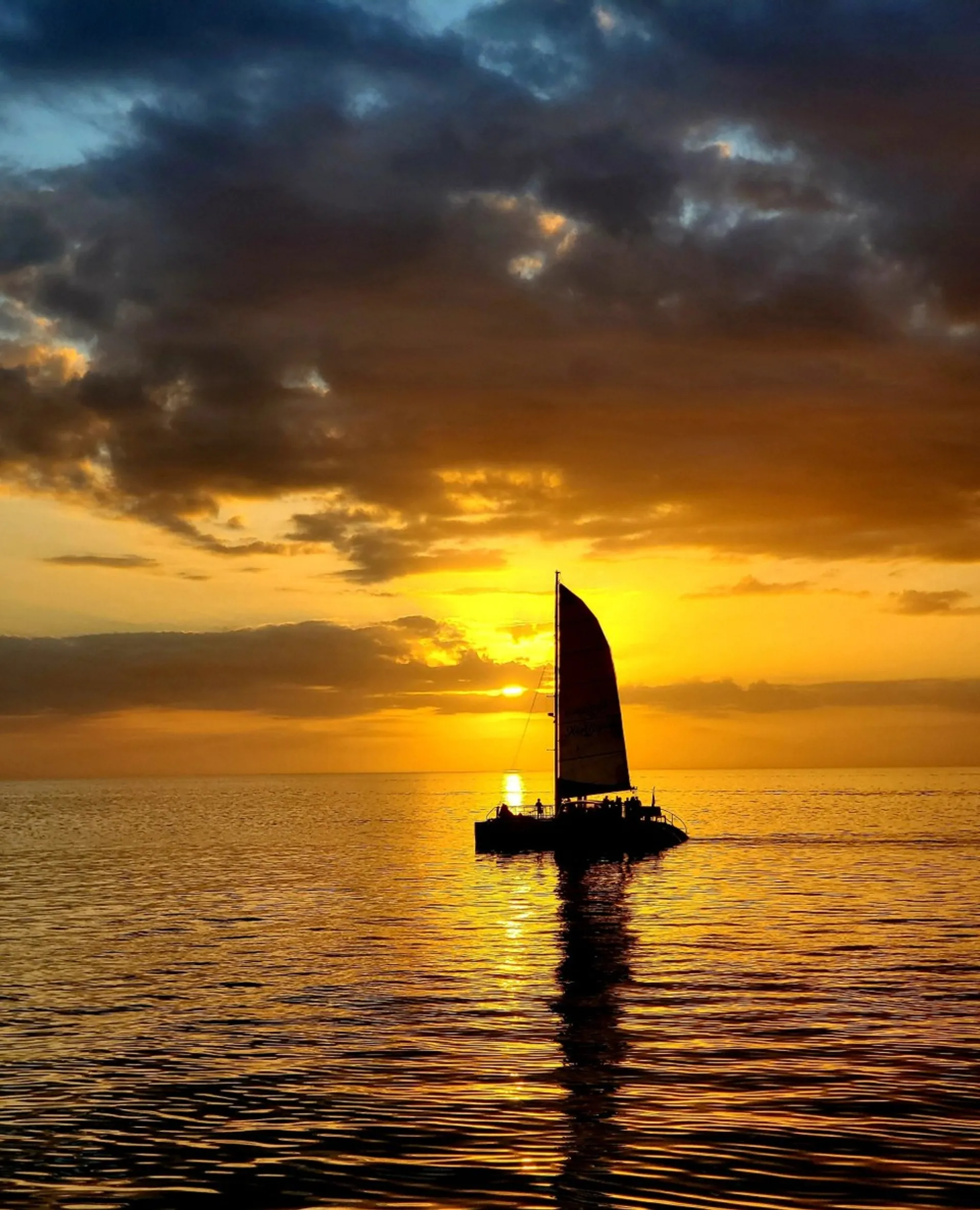 Custom Catamaran 48' in Naples, FL — photo 7