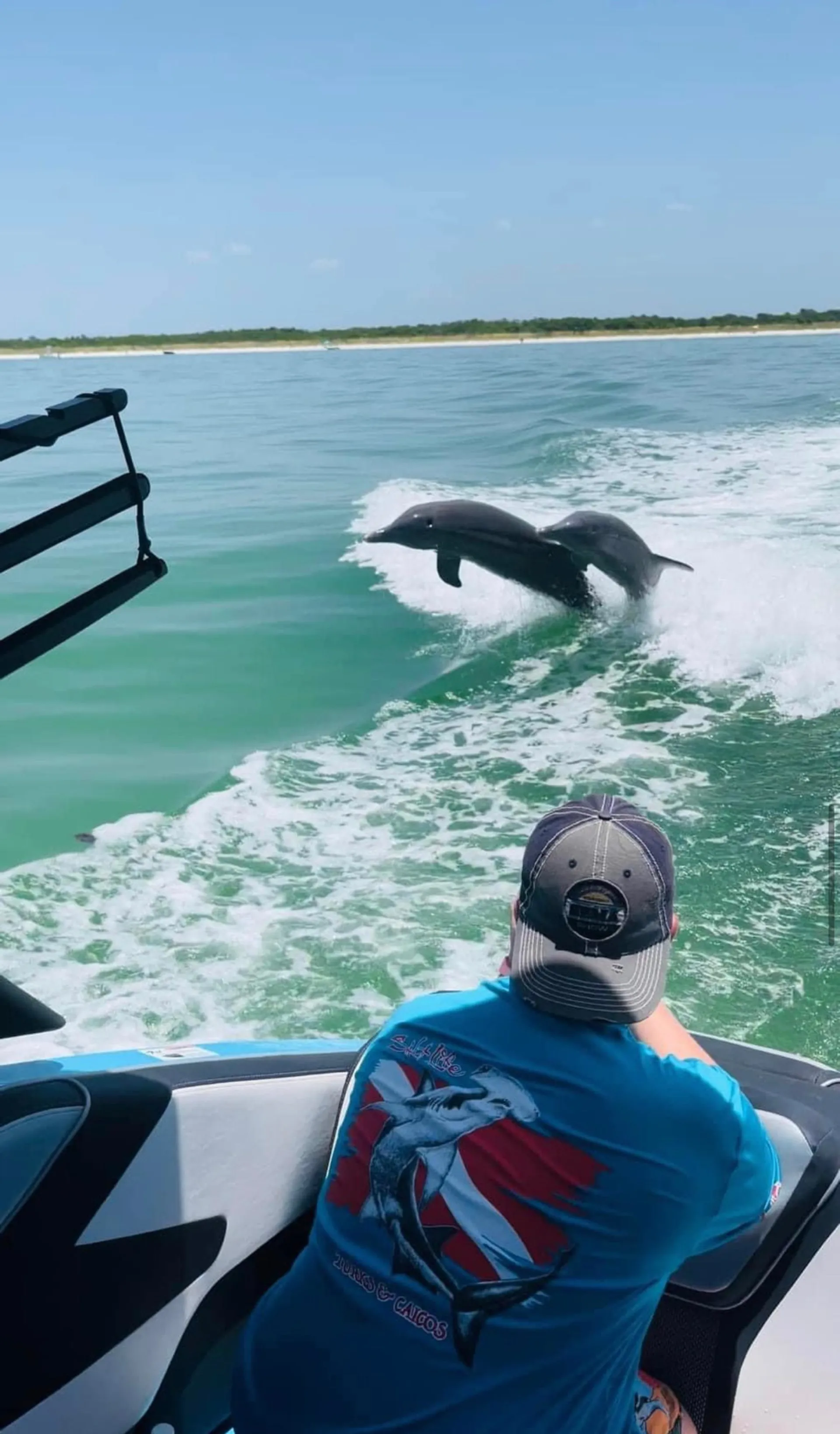 YAMAHA 255 XD in St. Petersburg, FL — photo 10