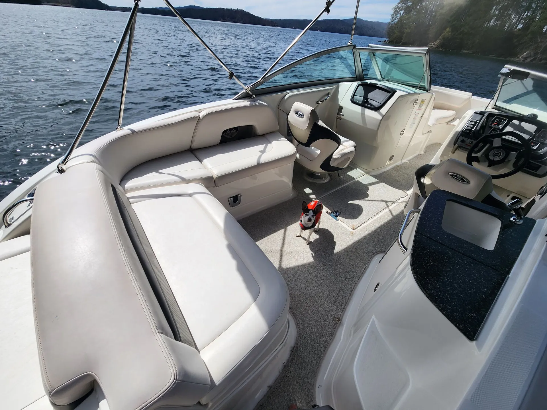 24.4' Open Bow, the cleanest fully functional boat around!