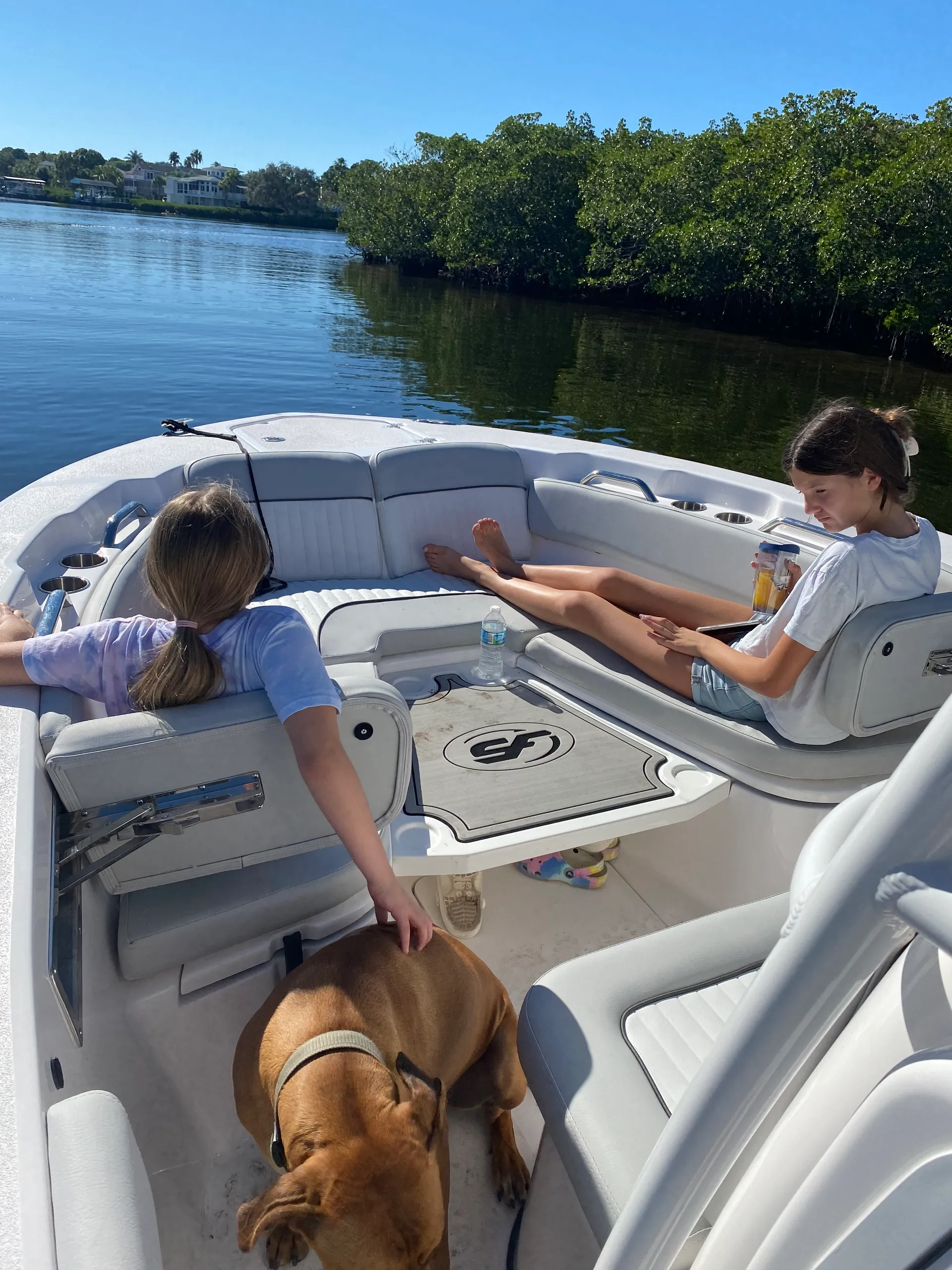 Sea fox 248 commander in Odessa, FL — photo 2