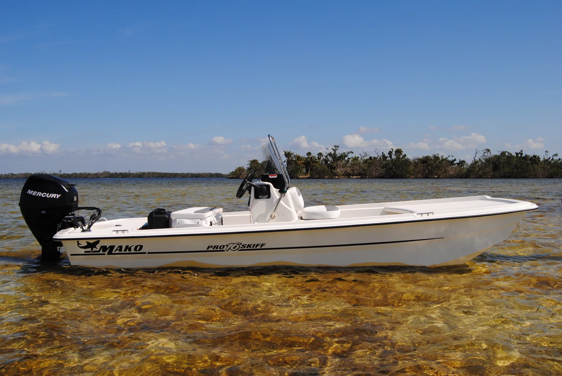 MAKO MARINE PRO 16 SKIFF CC W/40ELPT 4-S W/TRLR in Bokeelia, FL — photo 2