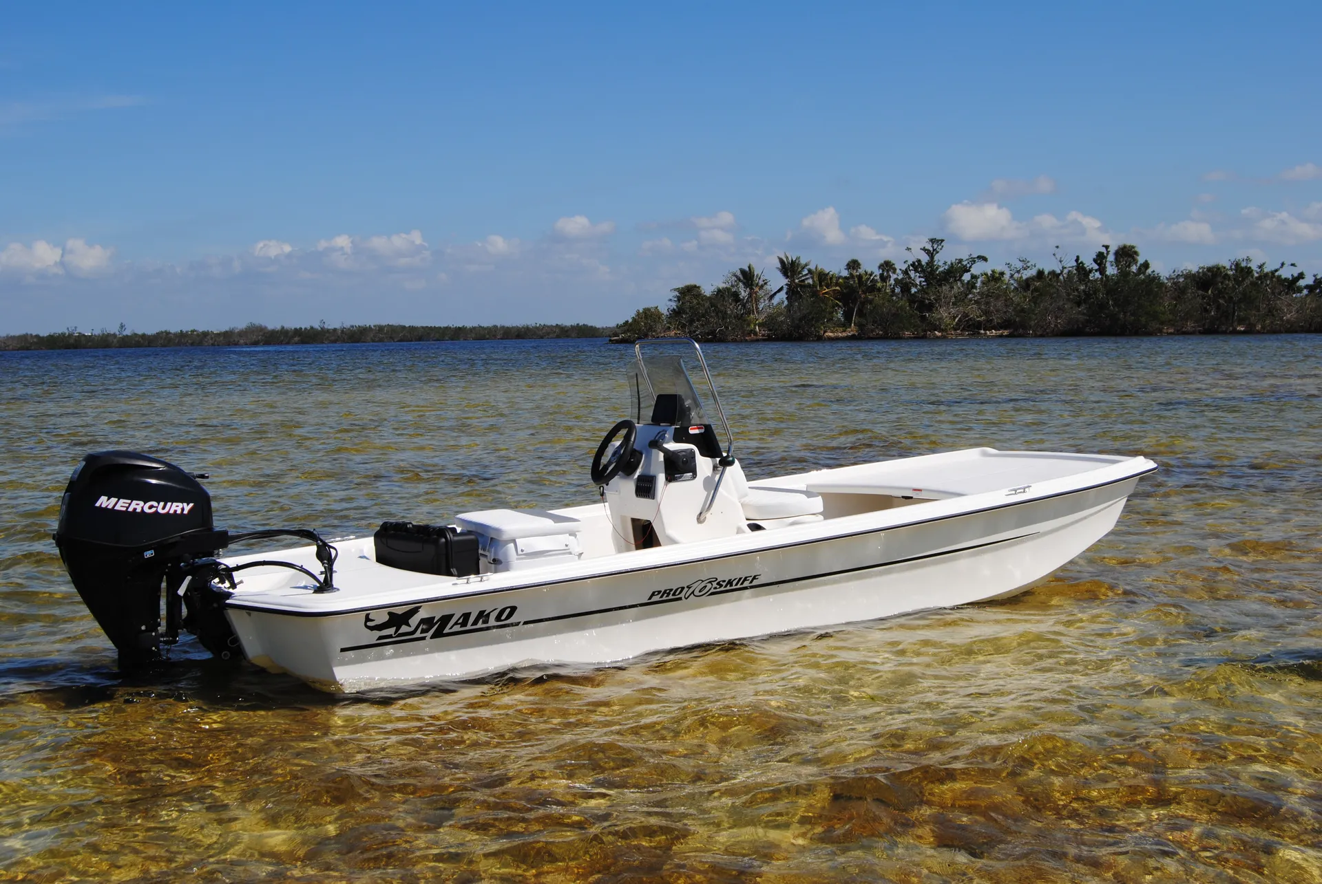 MAKO MARINE PRO 16 SKIFF CC W/40ELPT 4-S W/TRLR in Bokeelia, FL — photo 4