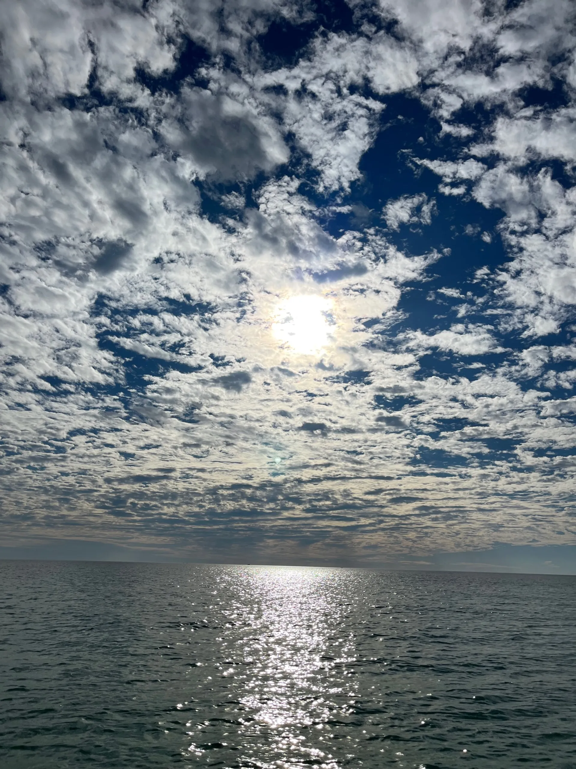 "Liquid Therapy" Jetboat