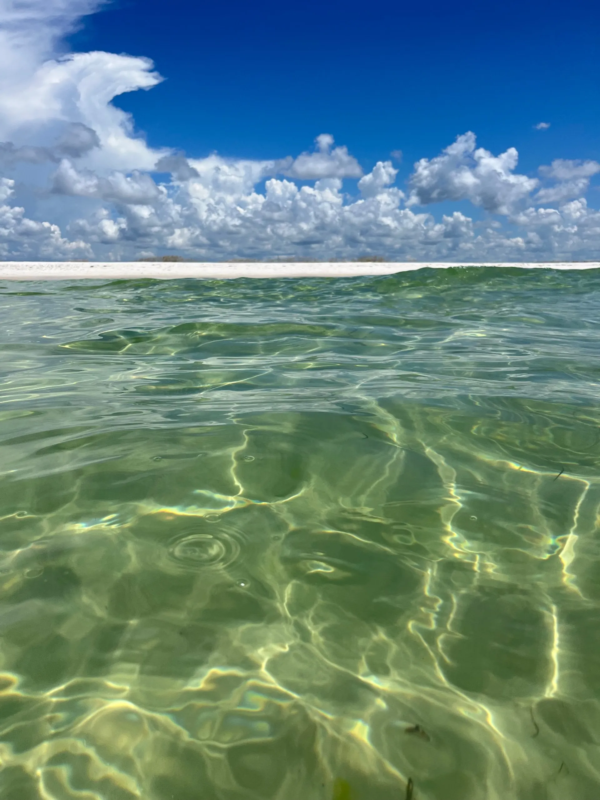 "Liquid Therapy" Jetboat