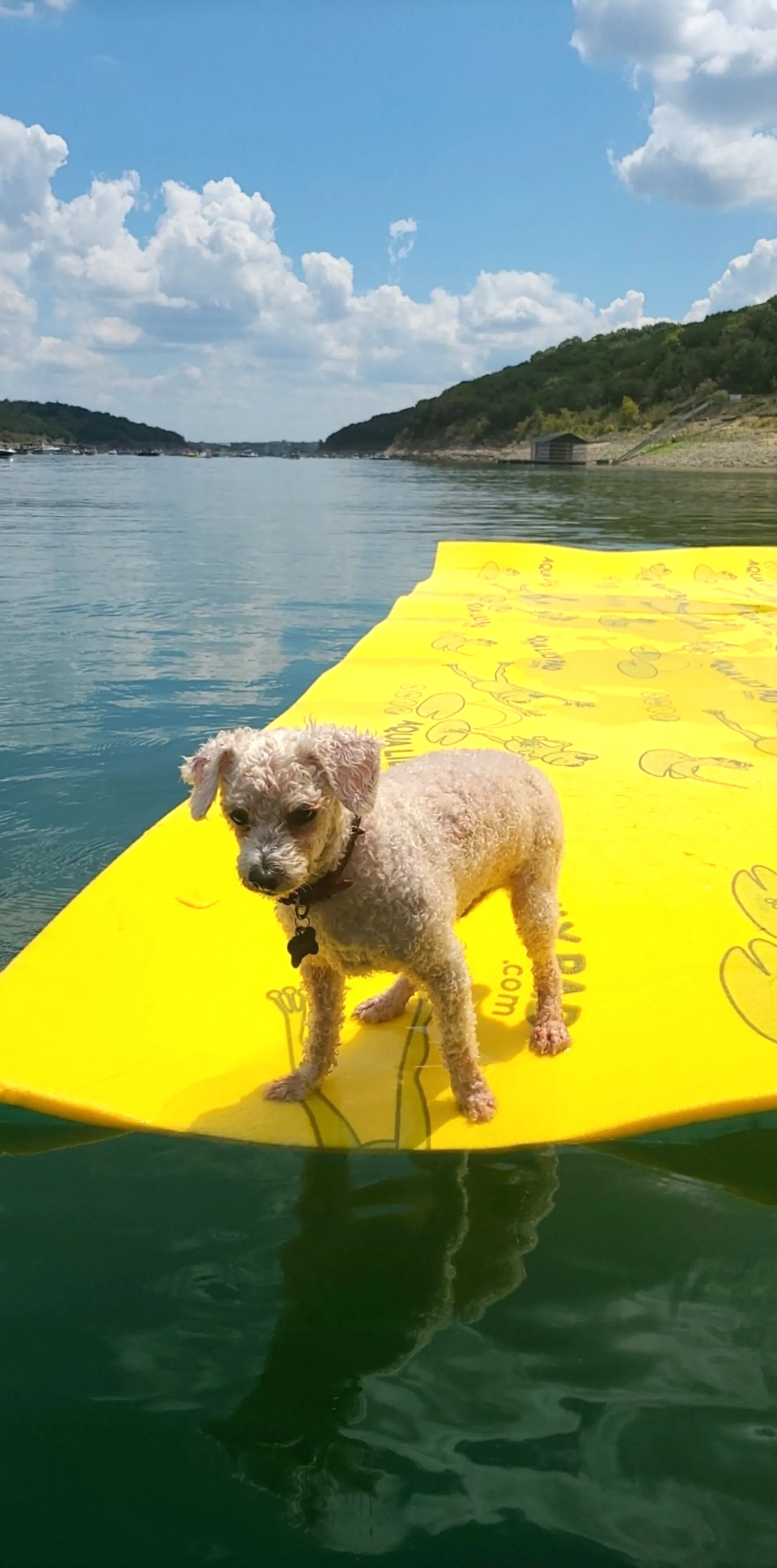 Double Decker Party Boat, Waterslide & Lily Pad!