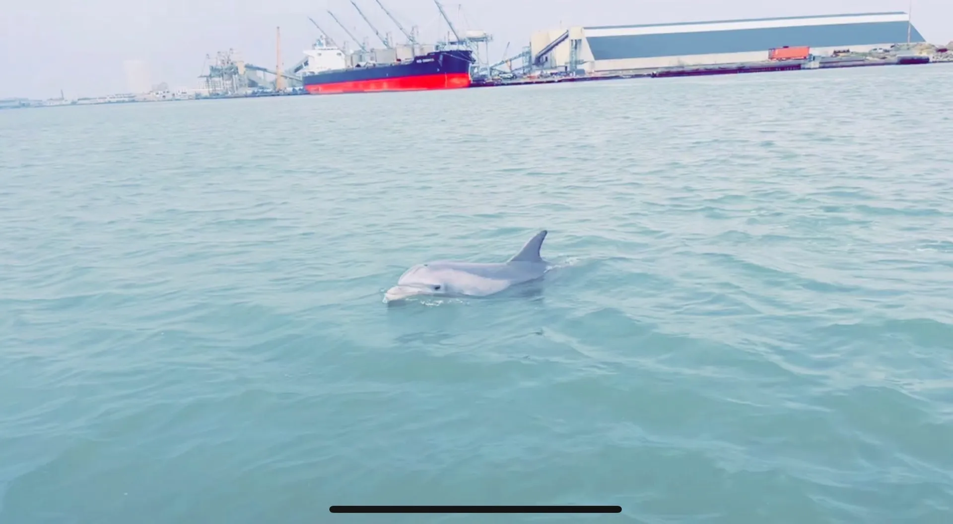 20' Hurricane - Perfect for family fun and Fish! 