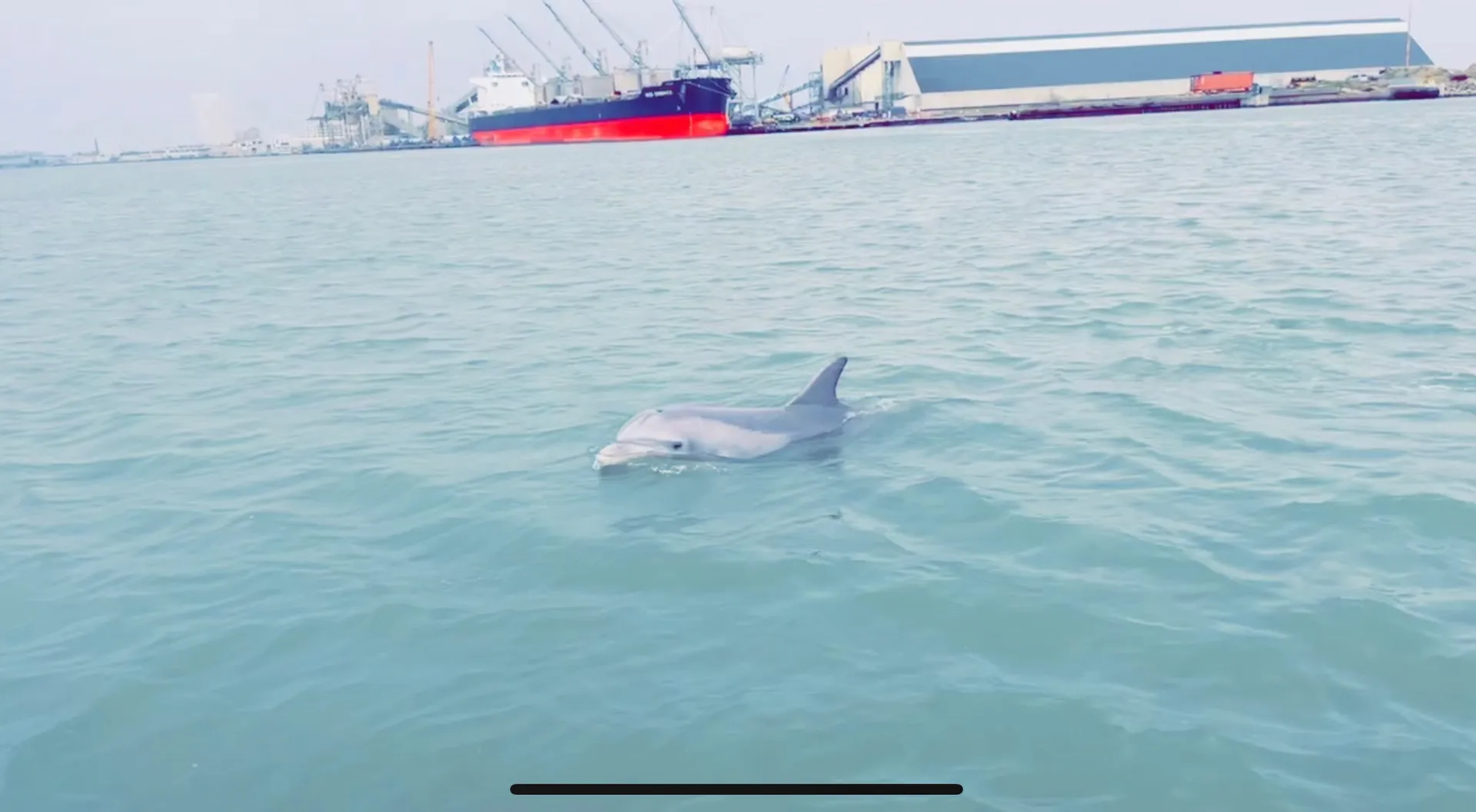 20ft Grady White - 8 passenger