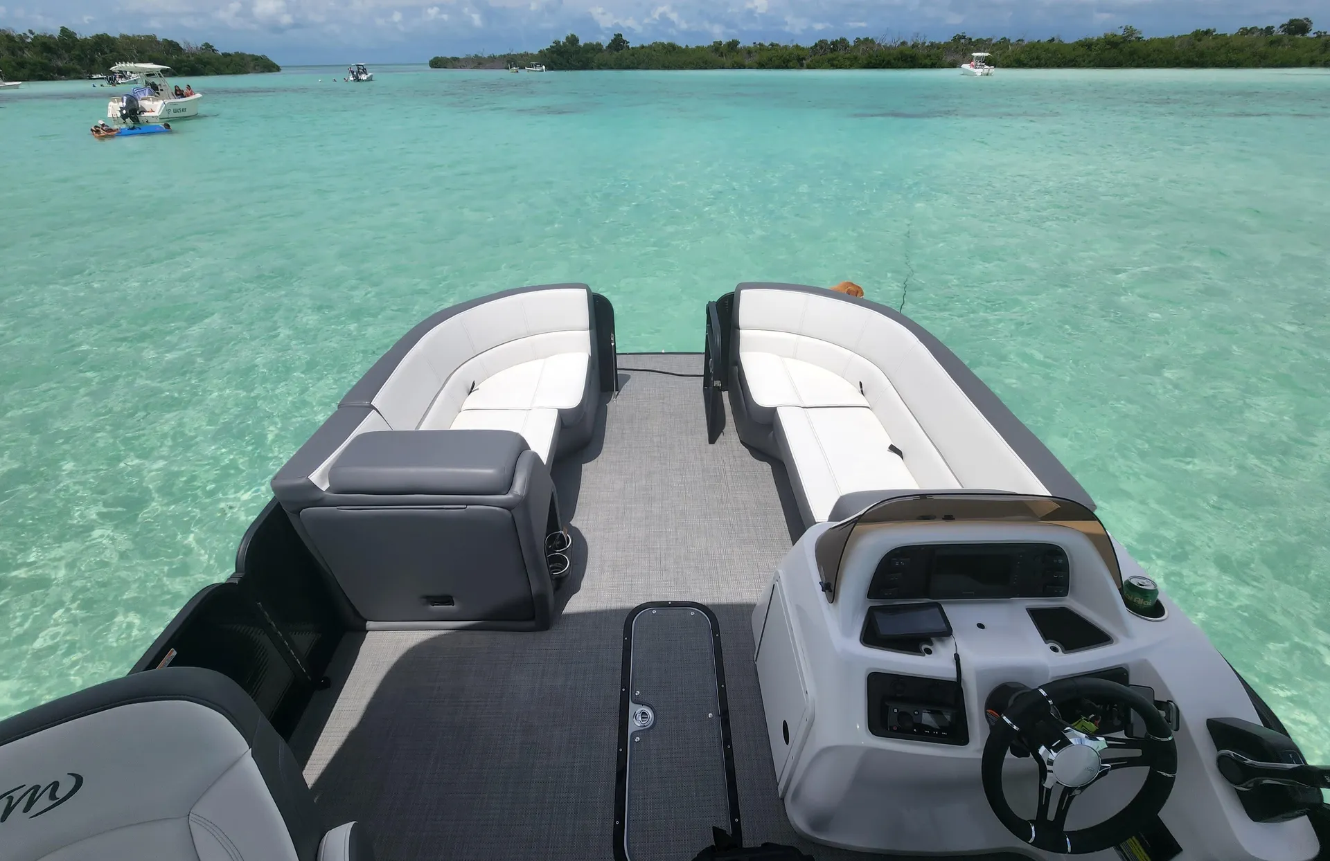 LUXURY TRI-TOON - Local delivery to Tampa Bay Ramps! Diving Board!