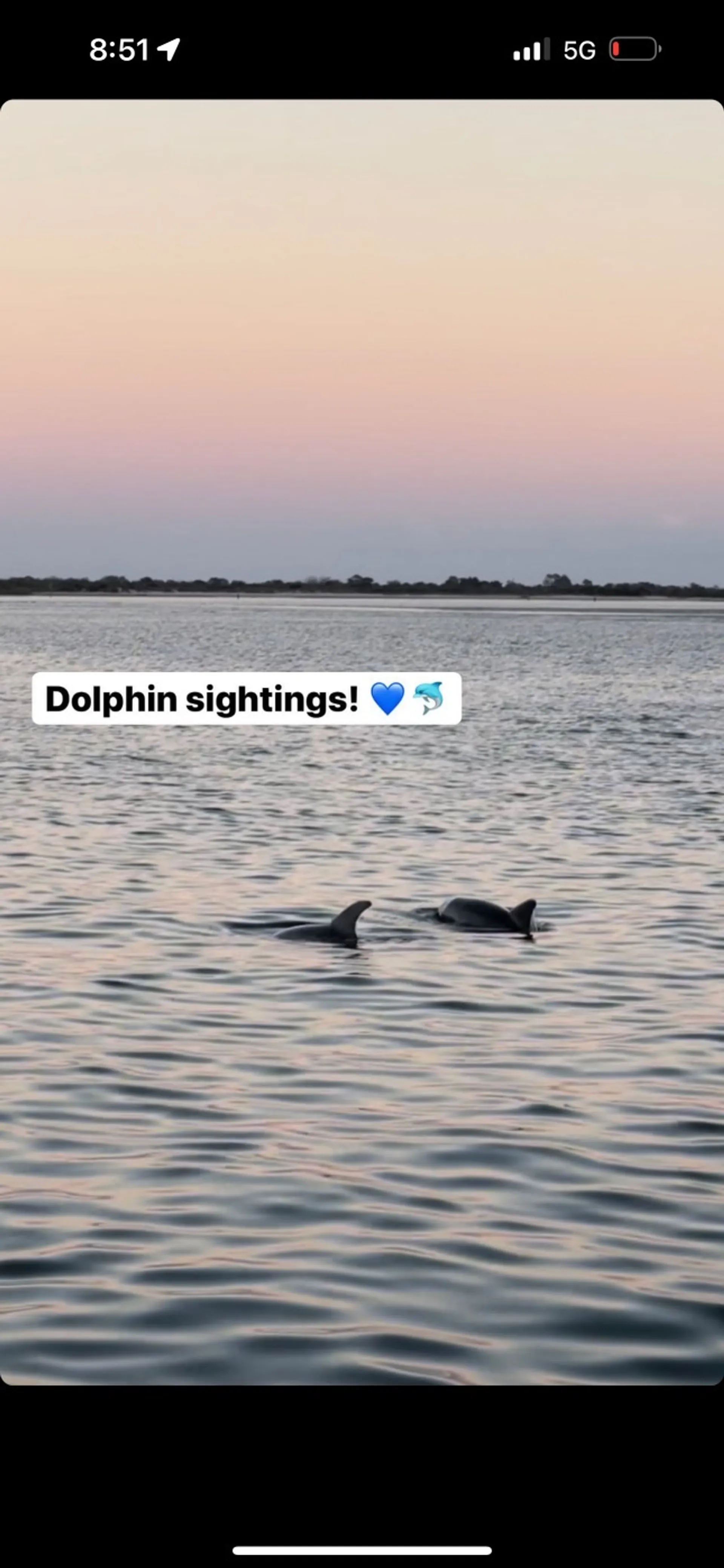 Private charter,bachelorette,friends,bachelor, family,dolphins,sunsets