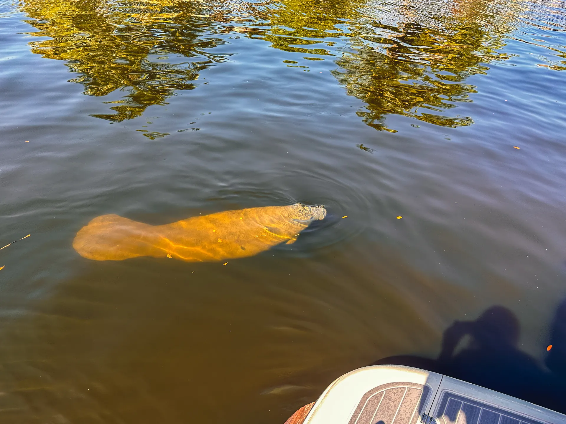 💎50’ European Yacht - Explore Fort Lauderdale