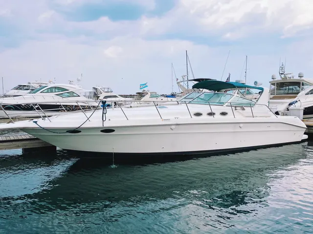 Rent a Sea Ray Boats motor yacht in Chicago, IL near me