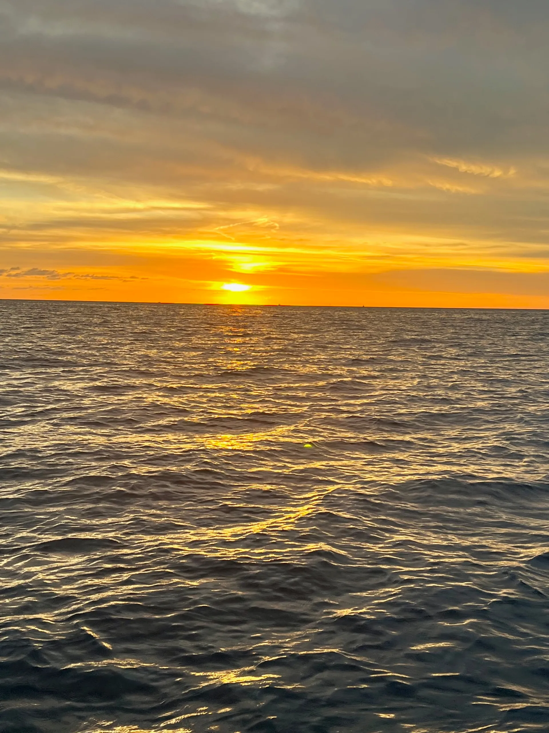 28 Cobia Center Console with Captain
