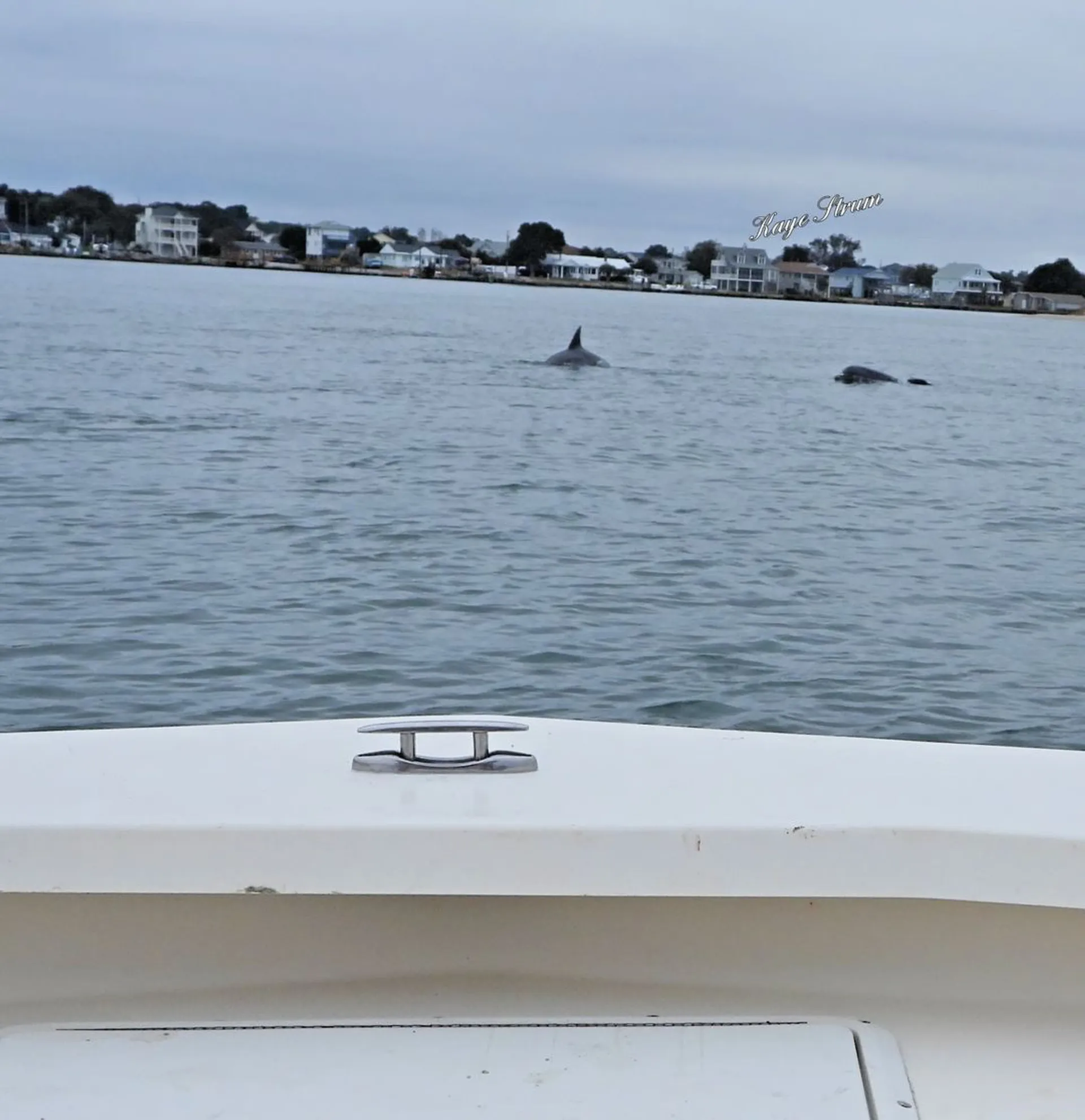 Carolina Yachts CY20 in Emerald Isle, NC — photo 4