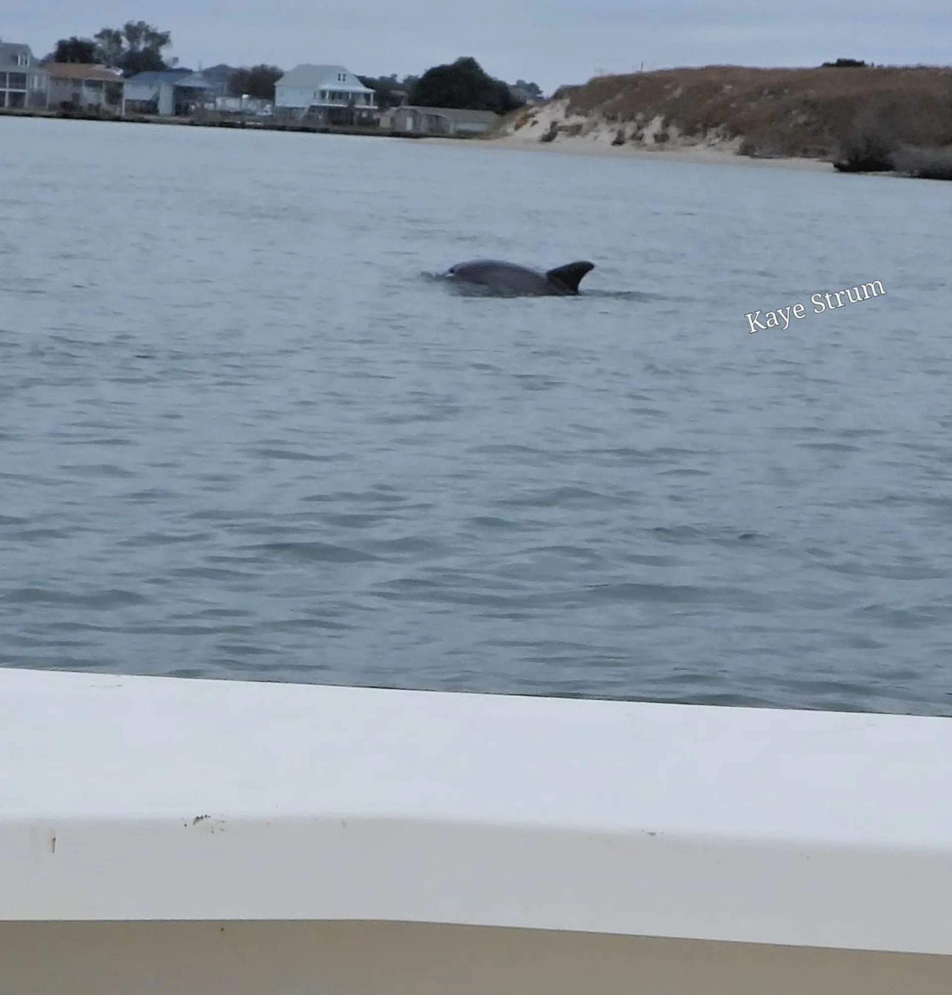 Carolina Yachts CY20 in Emerald Isle, NC — photo 8