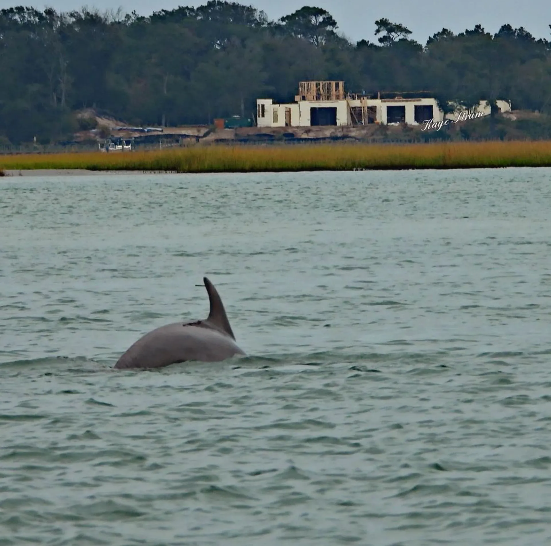 Carolina Yachts CY20 in Emerald Isle, NC — photo 6