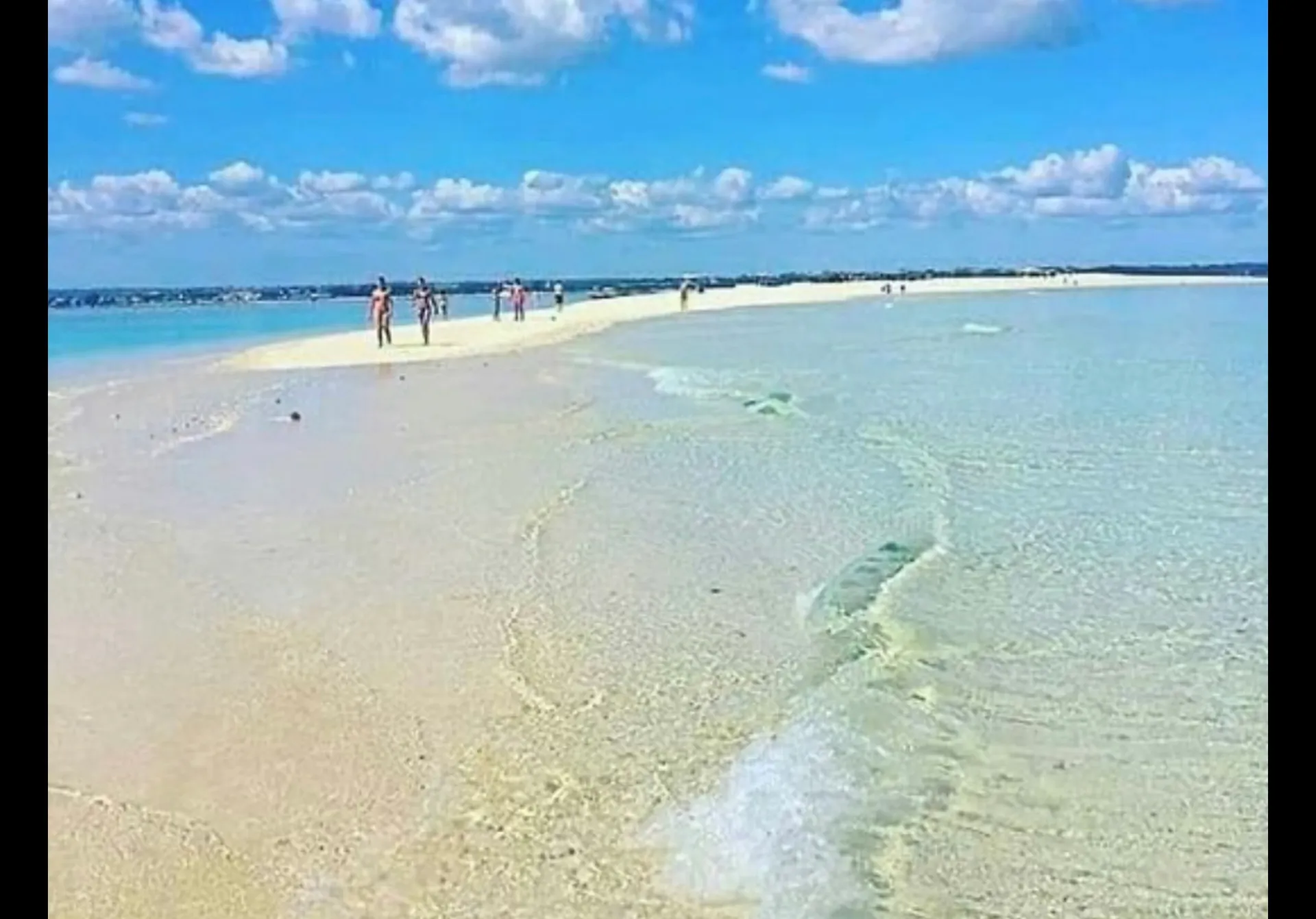 Family Fun Adventures or Adult Party Time on the water Orange Beach AL