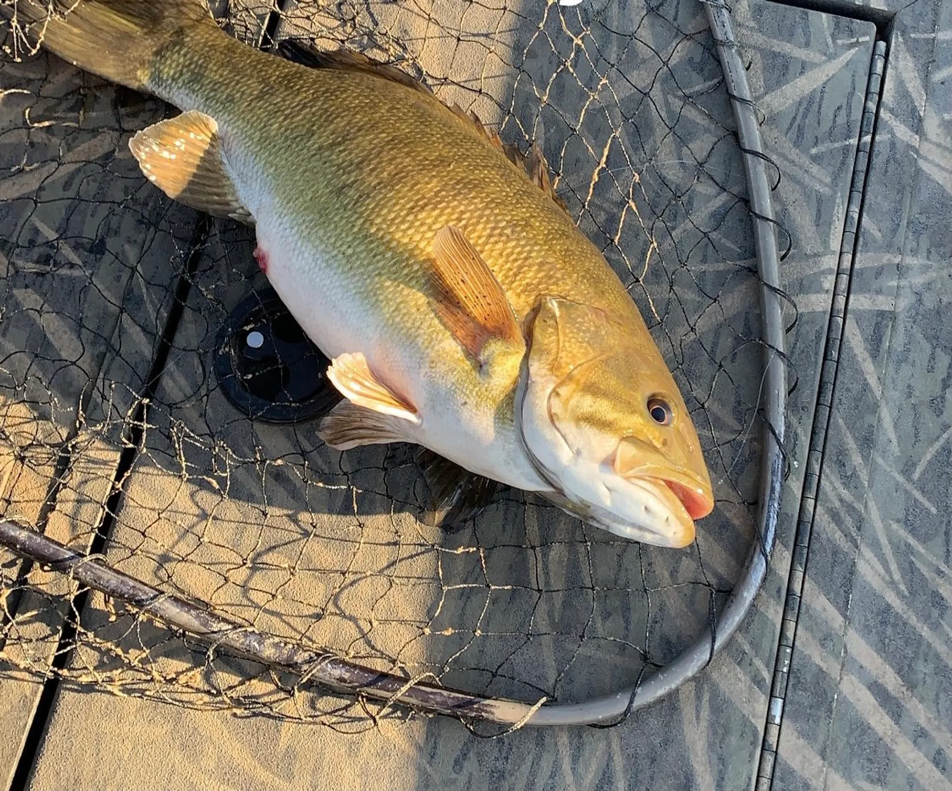 Crestliner Heavy Duty Jet in Monticello, MN — photo 4