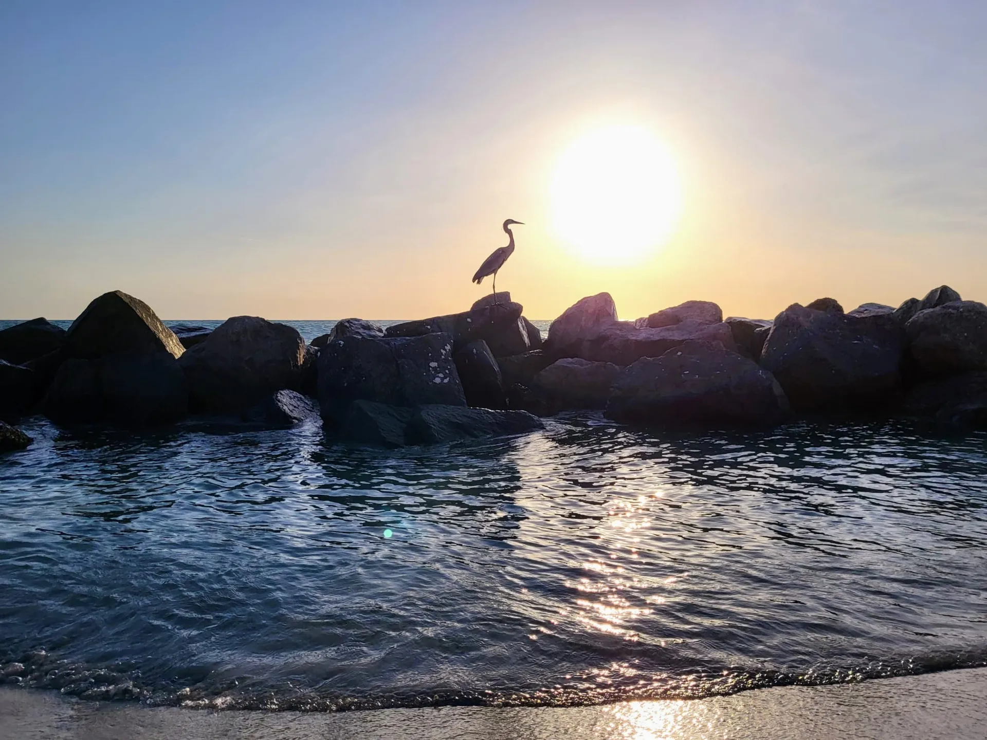 36’ Searay Sundancer in St Pete, FL!