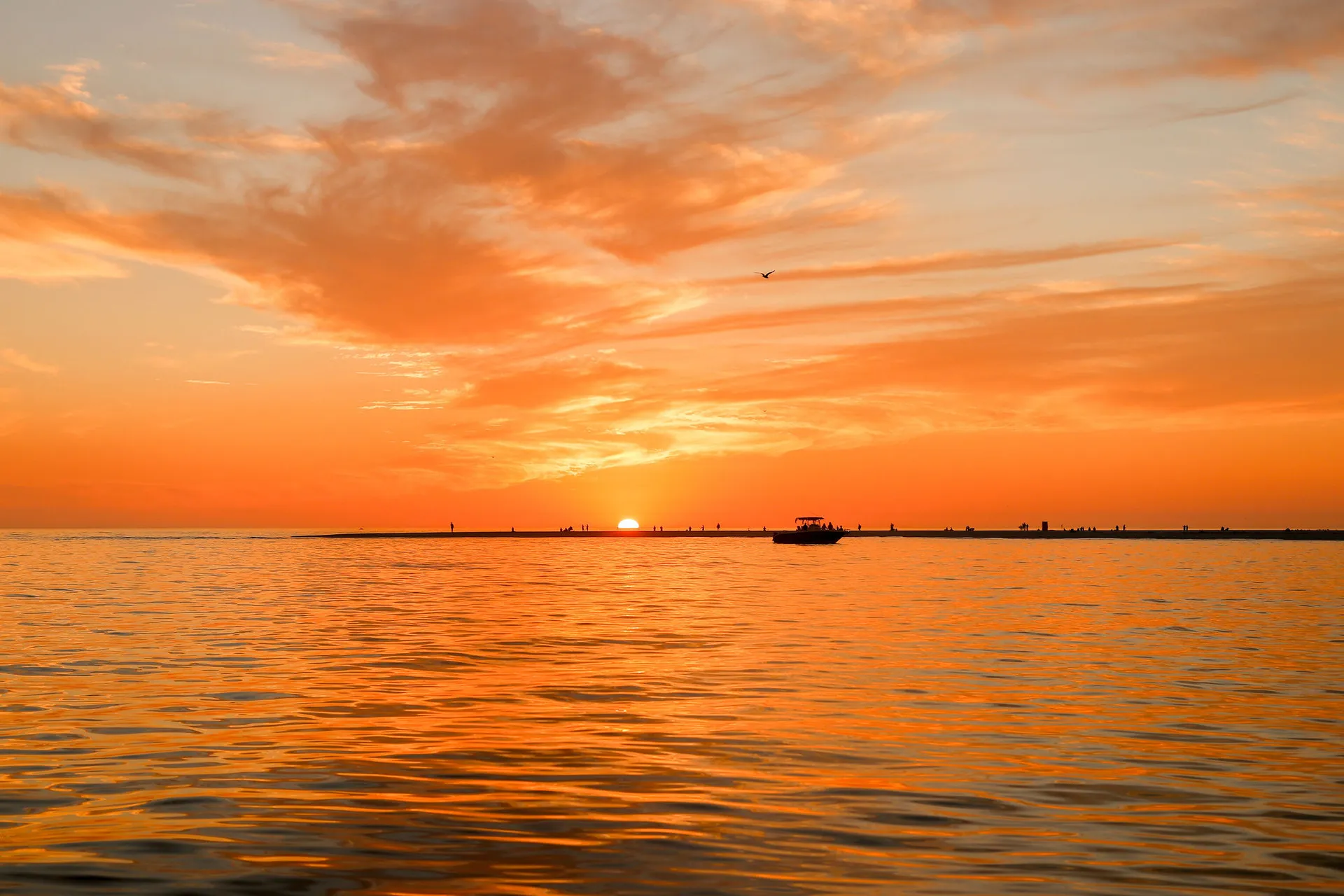 28 Ft Axopar T Top captained by the owner 