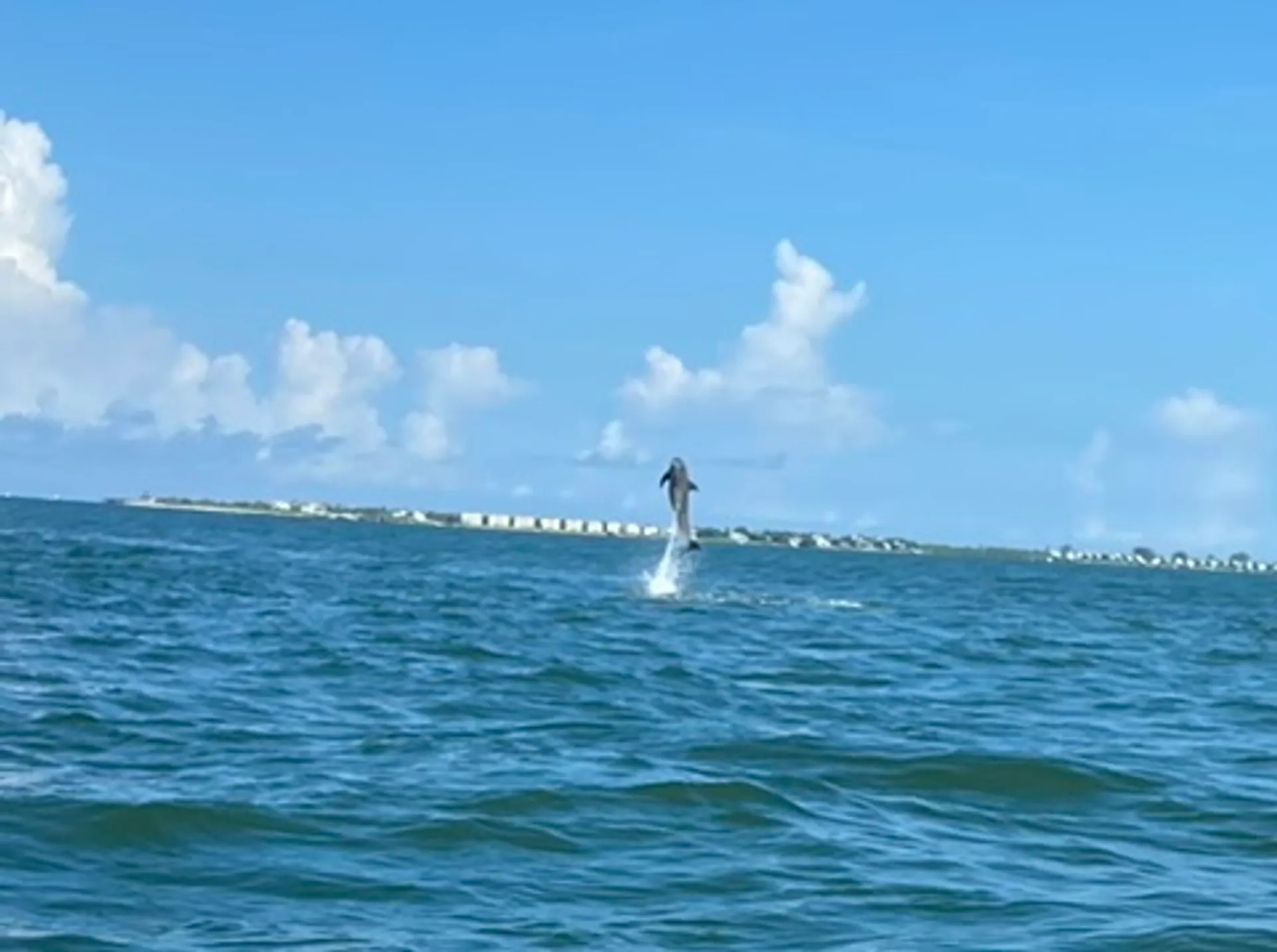 23ft Boston Whaler – Charlotte Harbor Exploration, Port Charlotte