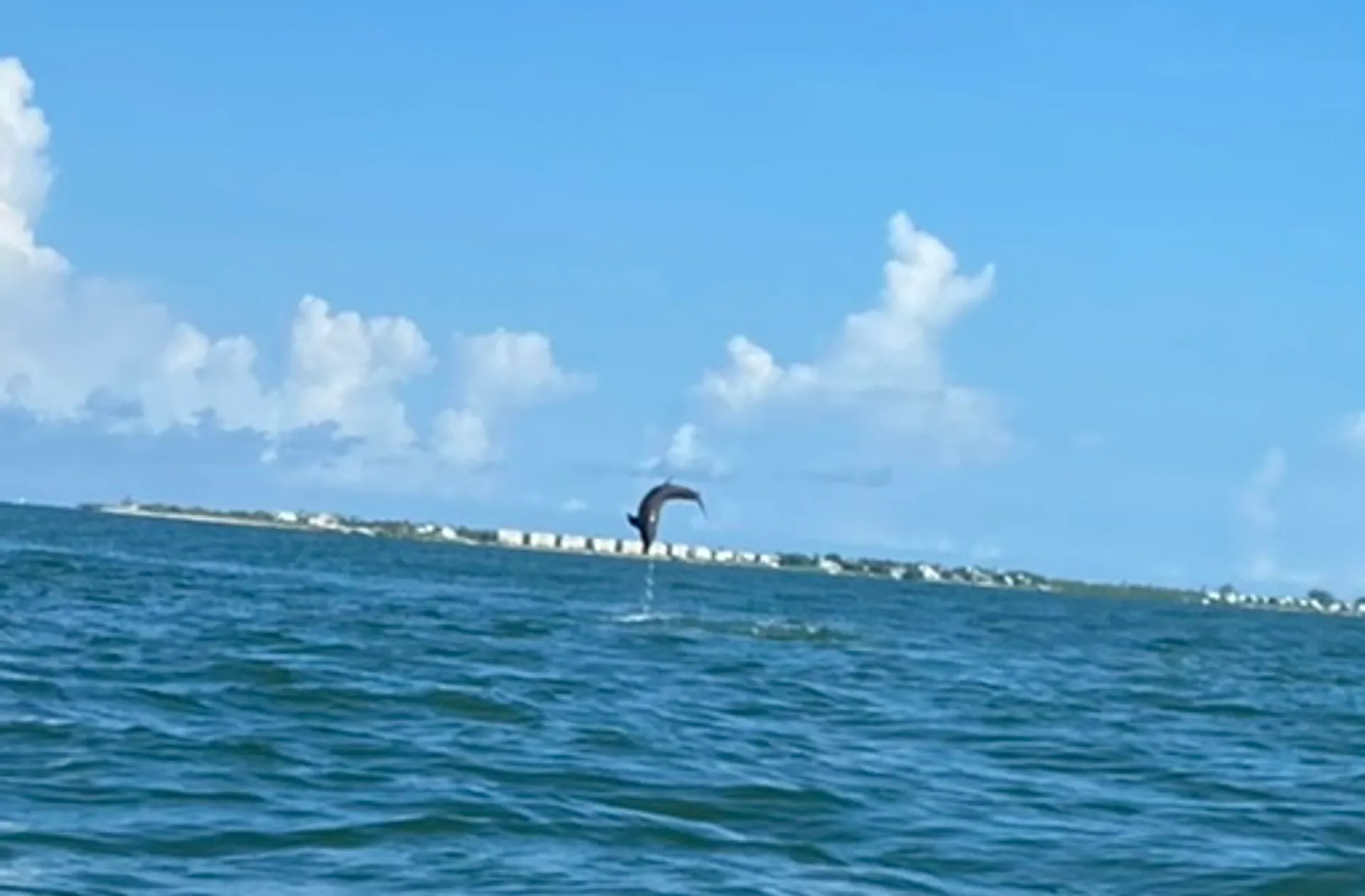 23ft Boston Whaler – Charlotte Harbor Exploration, Port Charlotte