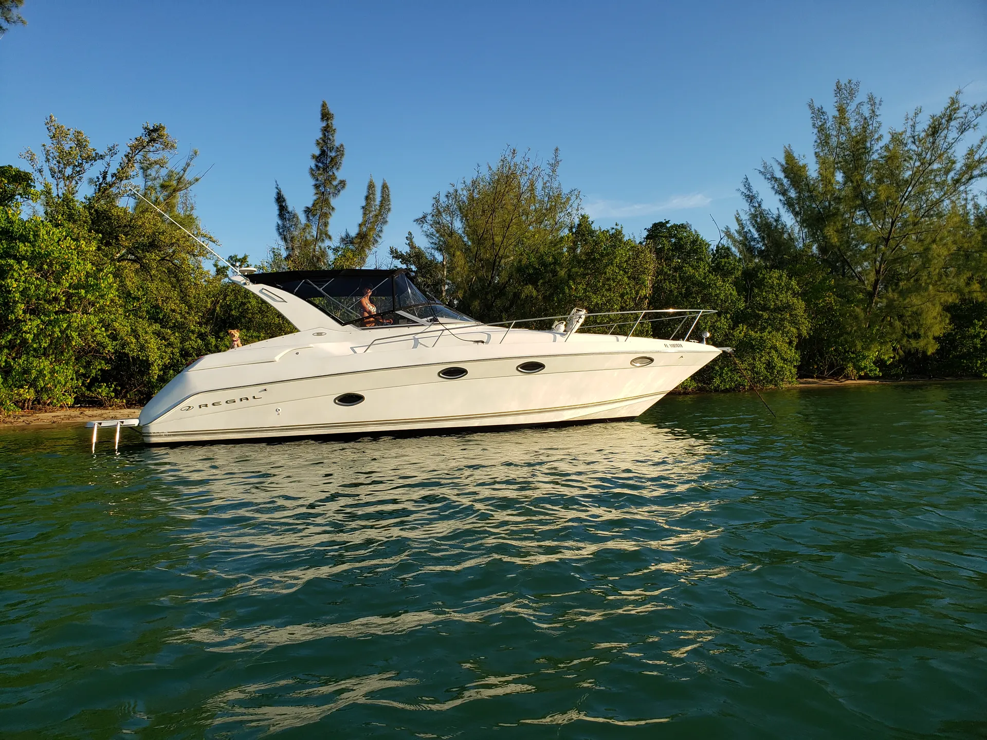 boat