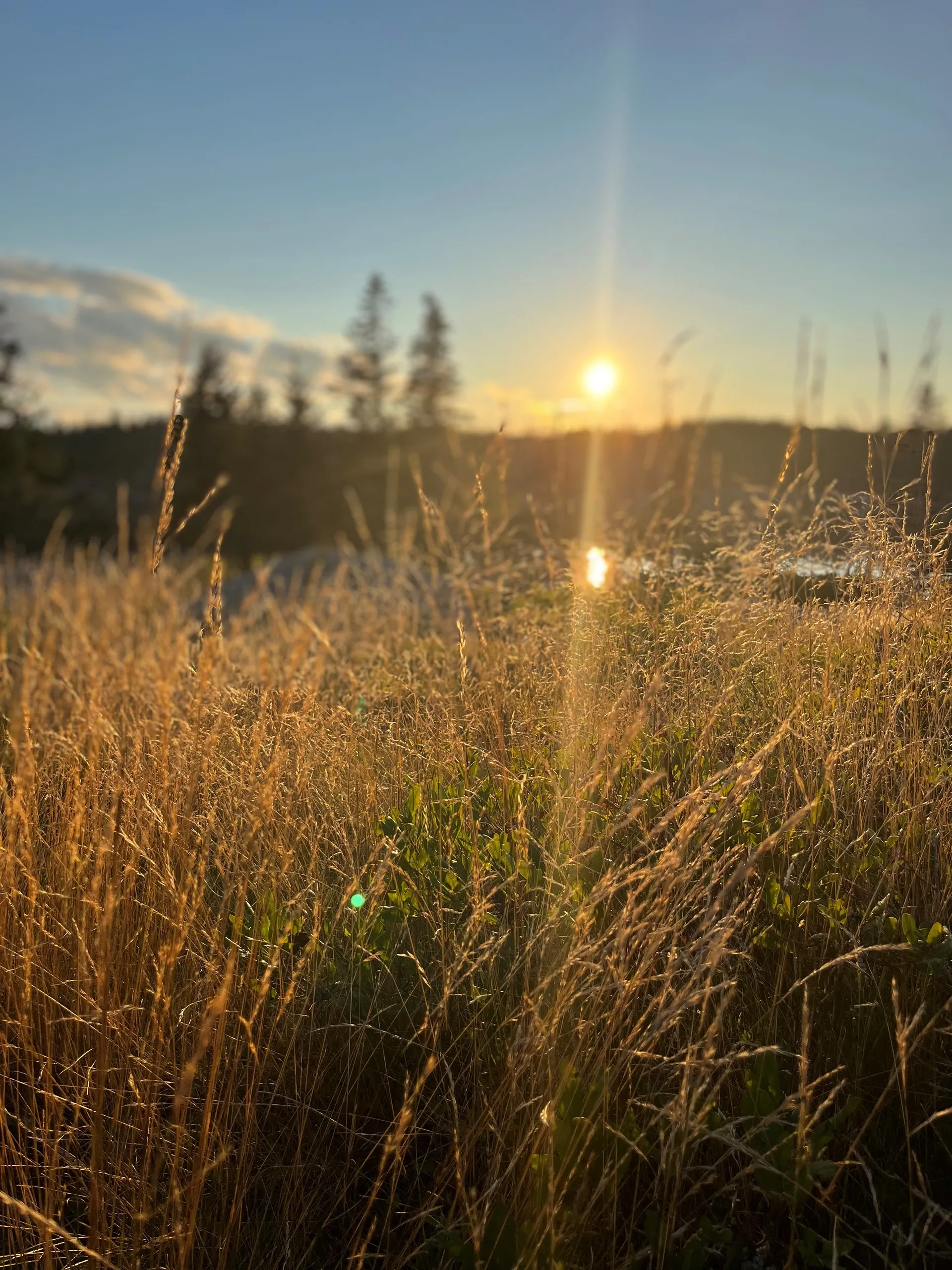 Neel 45 Trimaran in Rockland, ME — photo 7