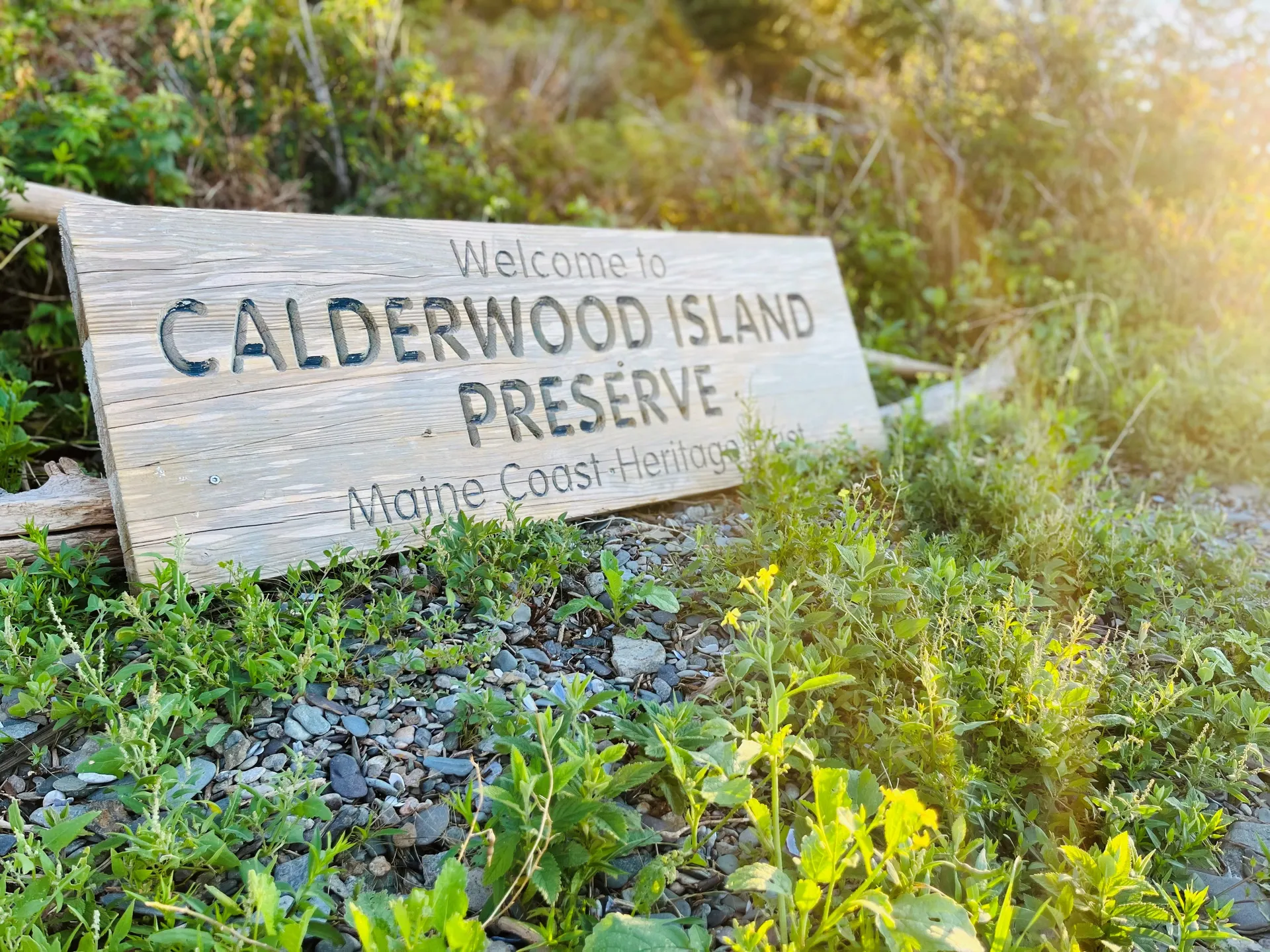 Neel 45 Trimaran in Rockland, ME — photo 5