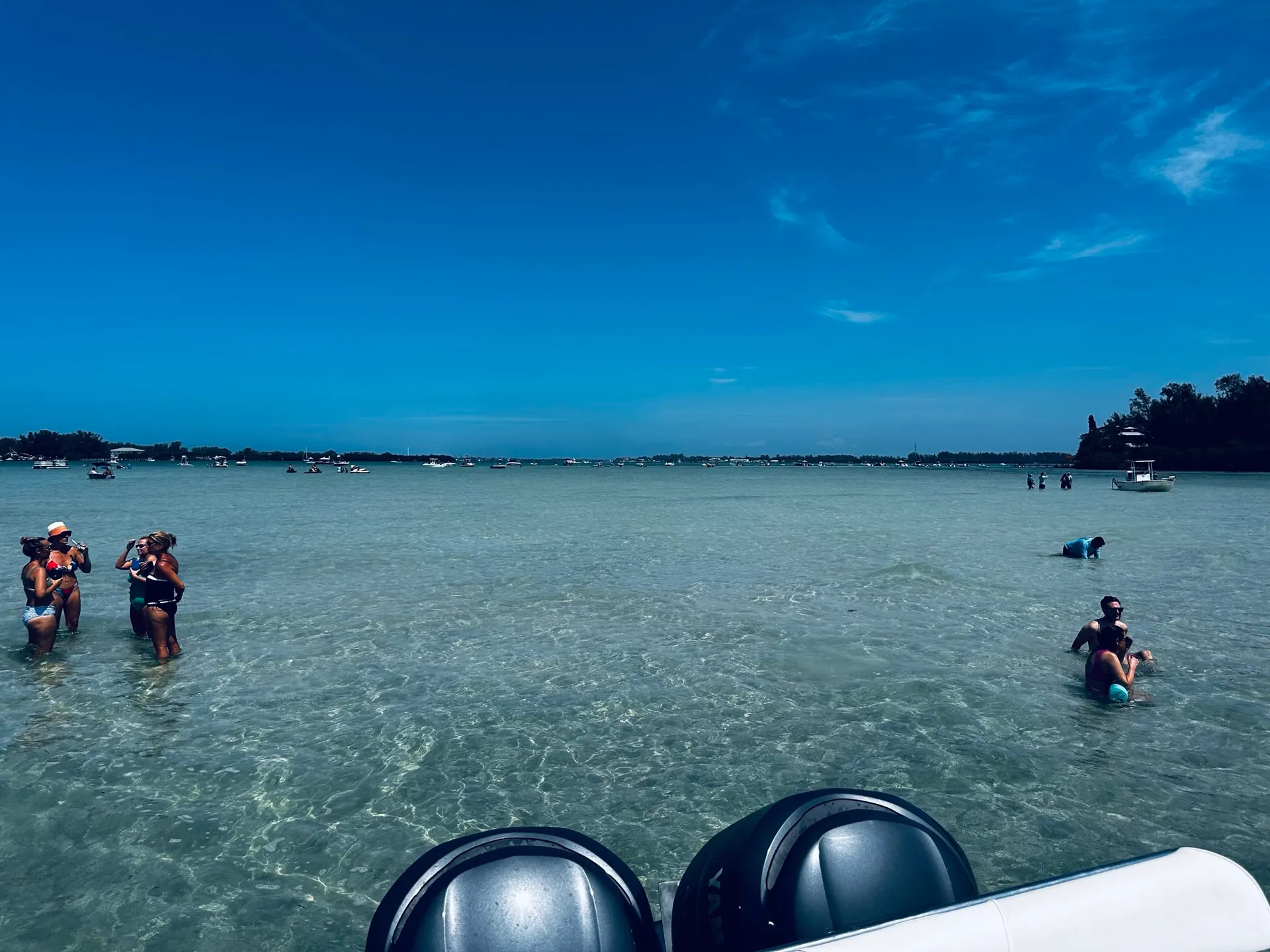 28’ Dolphin-Watching & Sightseeing Charter – Explore Sarasota