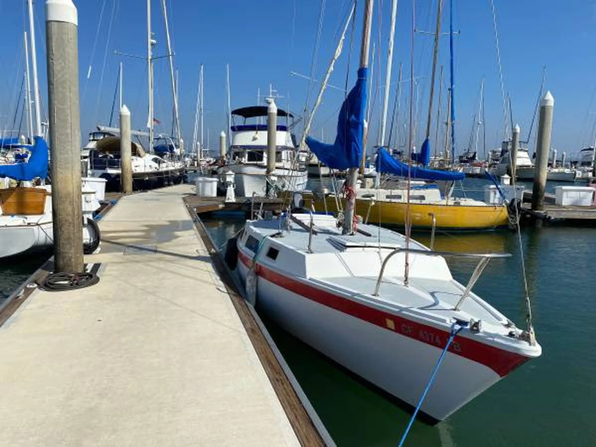Cal T/4 in San Diego, CA — photo 4