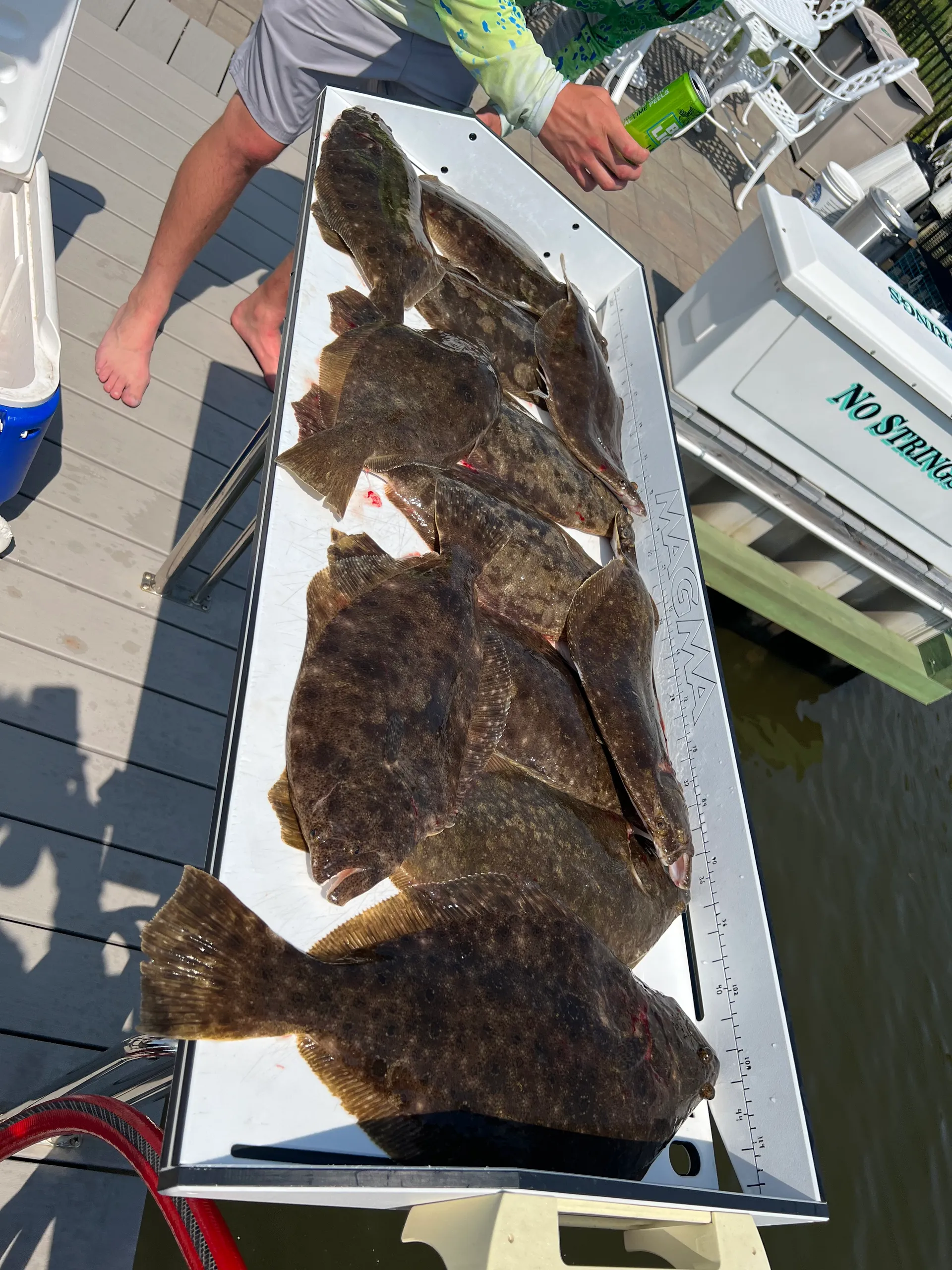 Sea hunt  Ultra 275 in Brick Township, NJ — photo 6