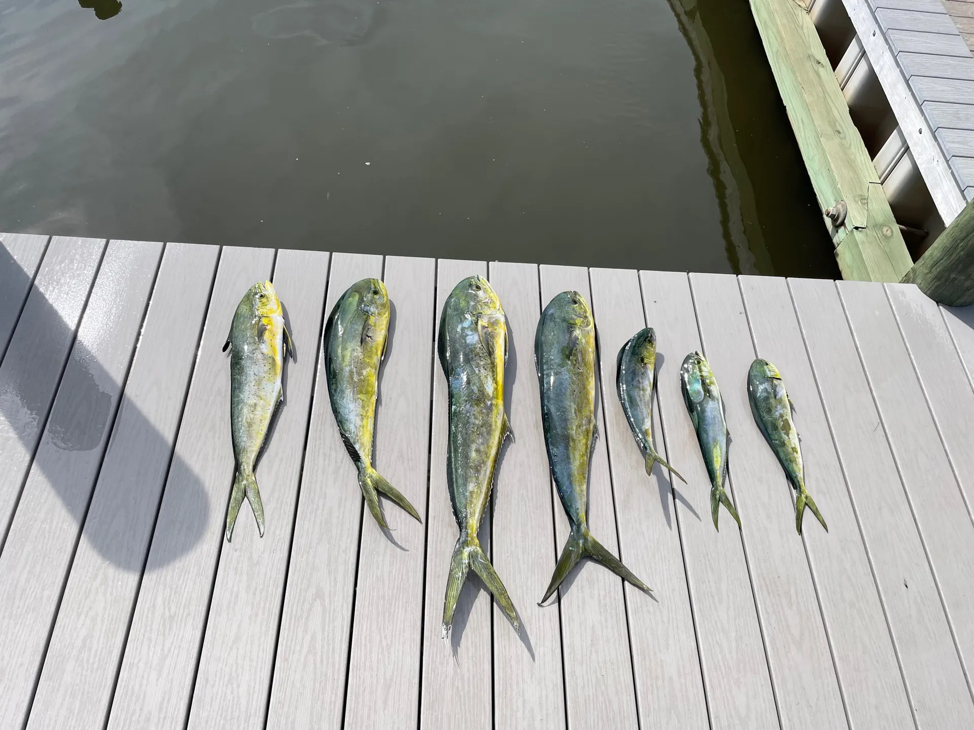Sea hunt  Ultra 275 in Brick Township, NJ — photo 8
