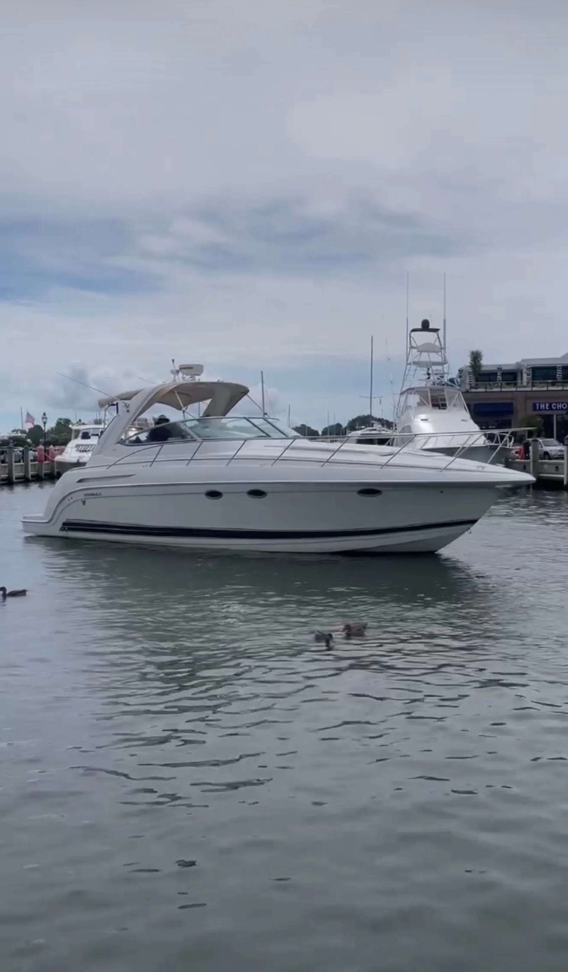 Formula by Thunderbird 37 Performance Cruiser in Edgewater, MD — photo 6