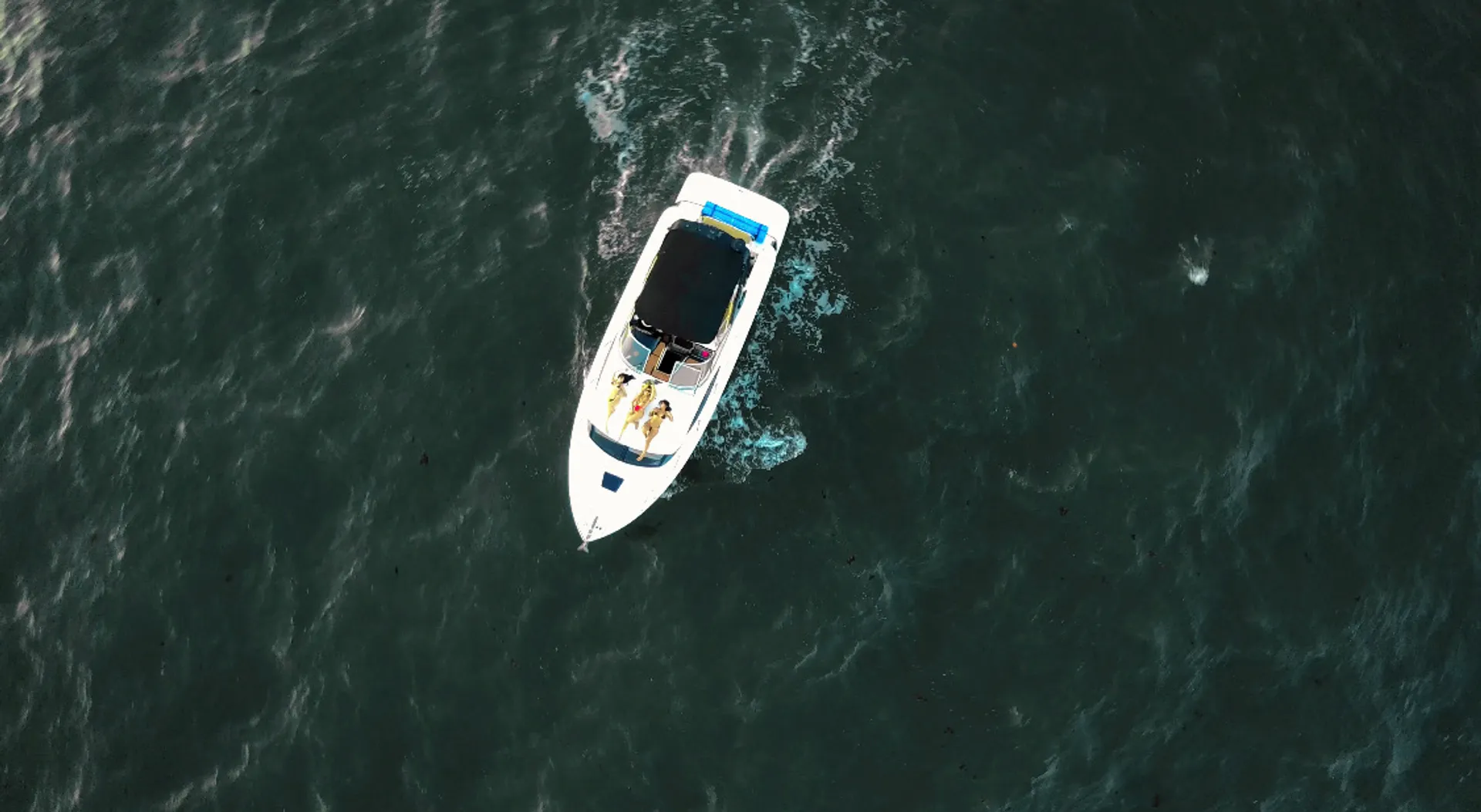 Regal Boats 3360 Window Express Volvo in Belleair Bluffs, FL — photo 4