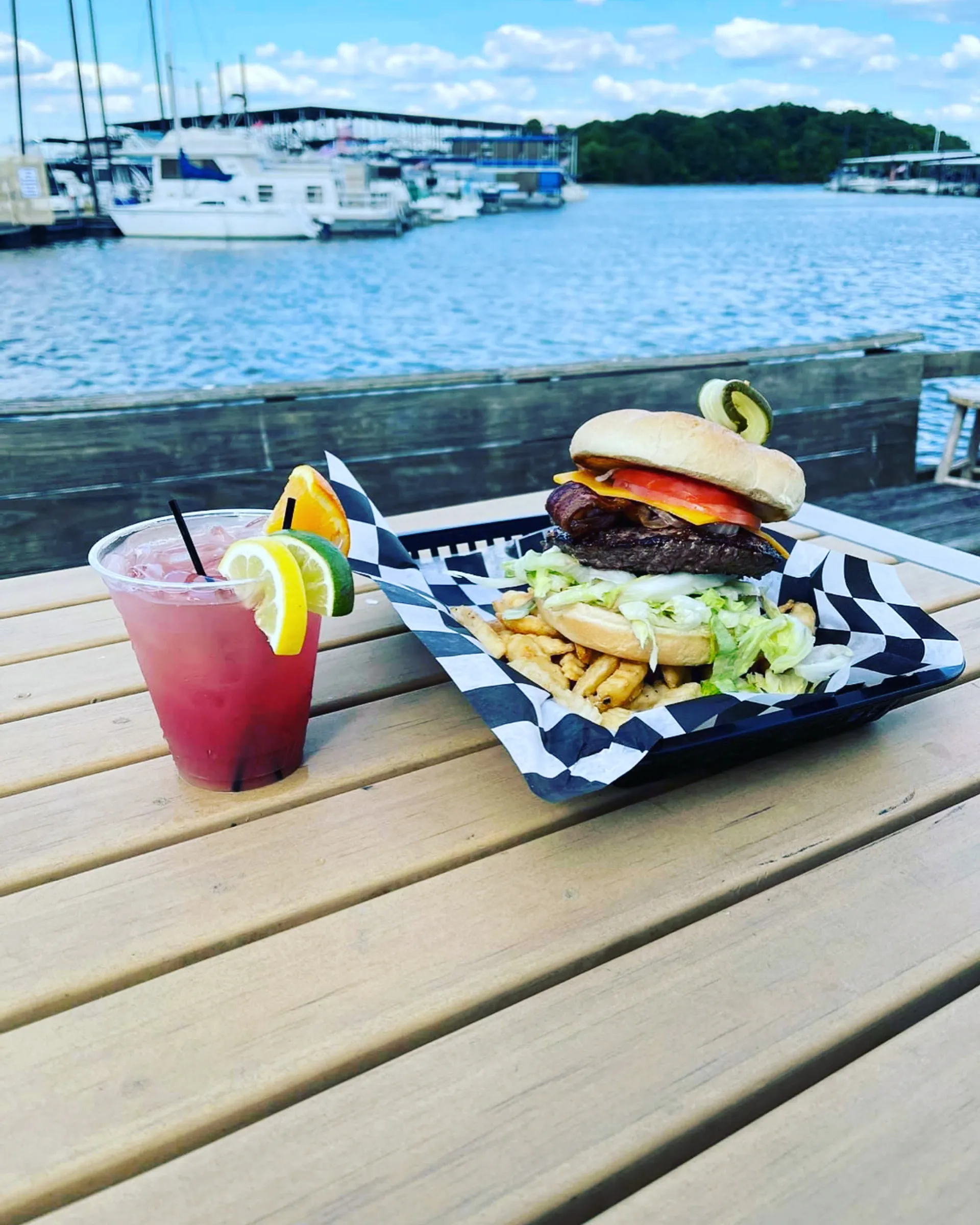 Godfrey Marine Aqua Patio 220 RS 4-Gate in Mt. Juliet, TN — photo 9