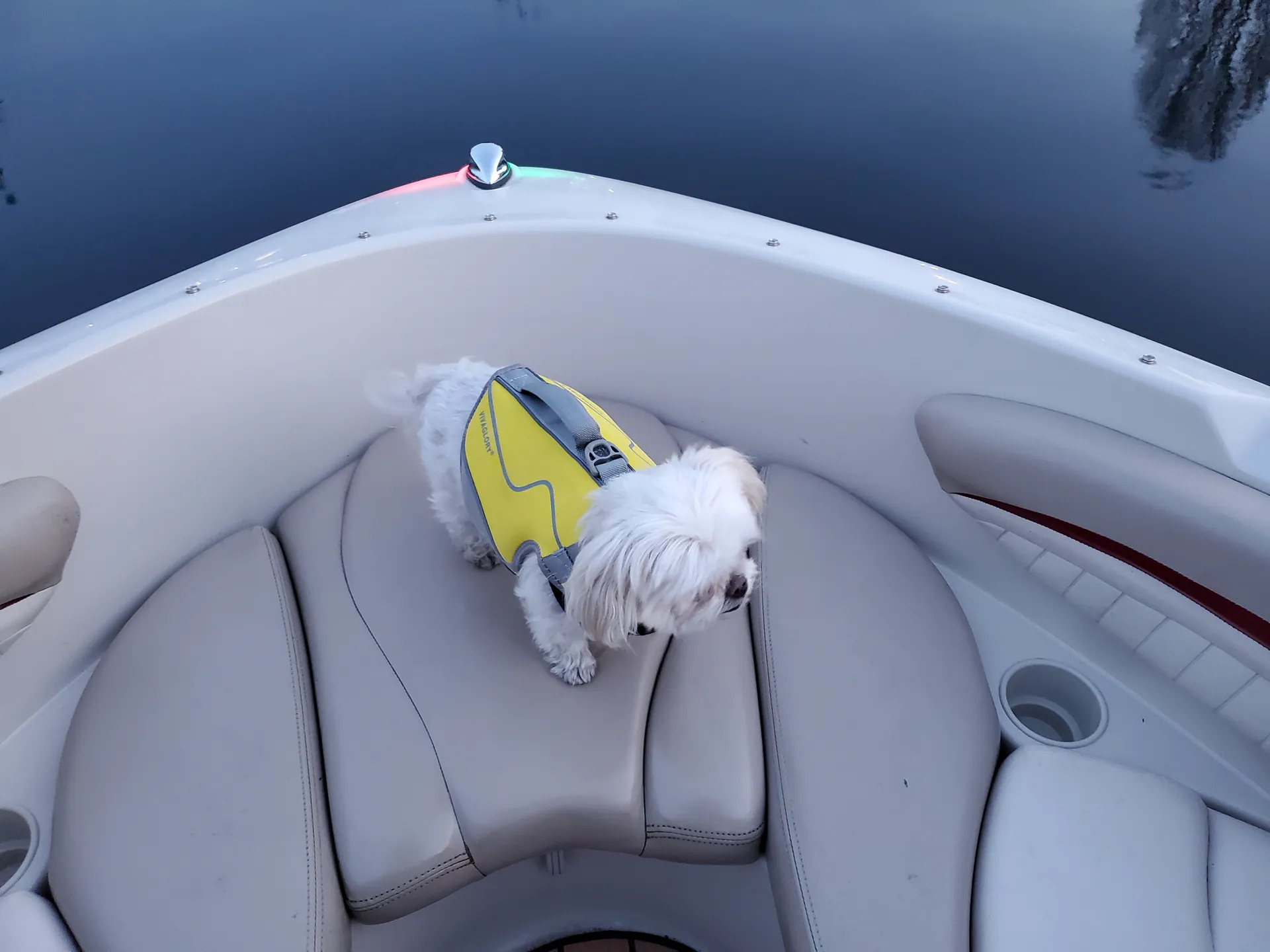 Fast and Fun 20' Glastron Bowrider on Lake Union/Lake Washington