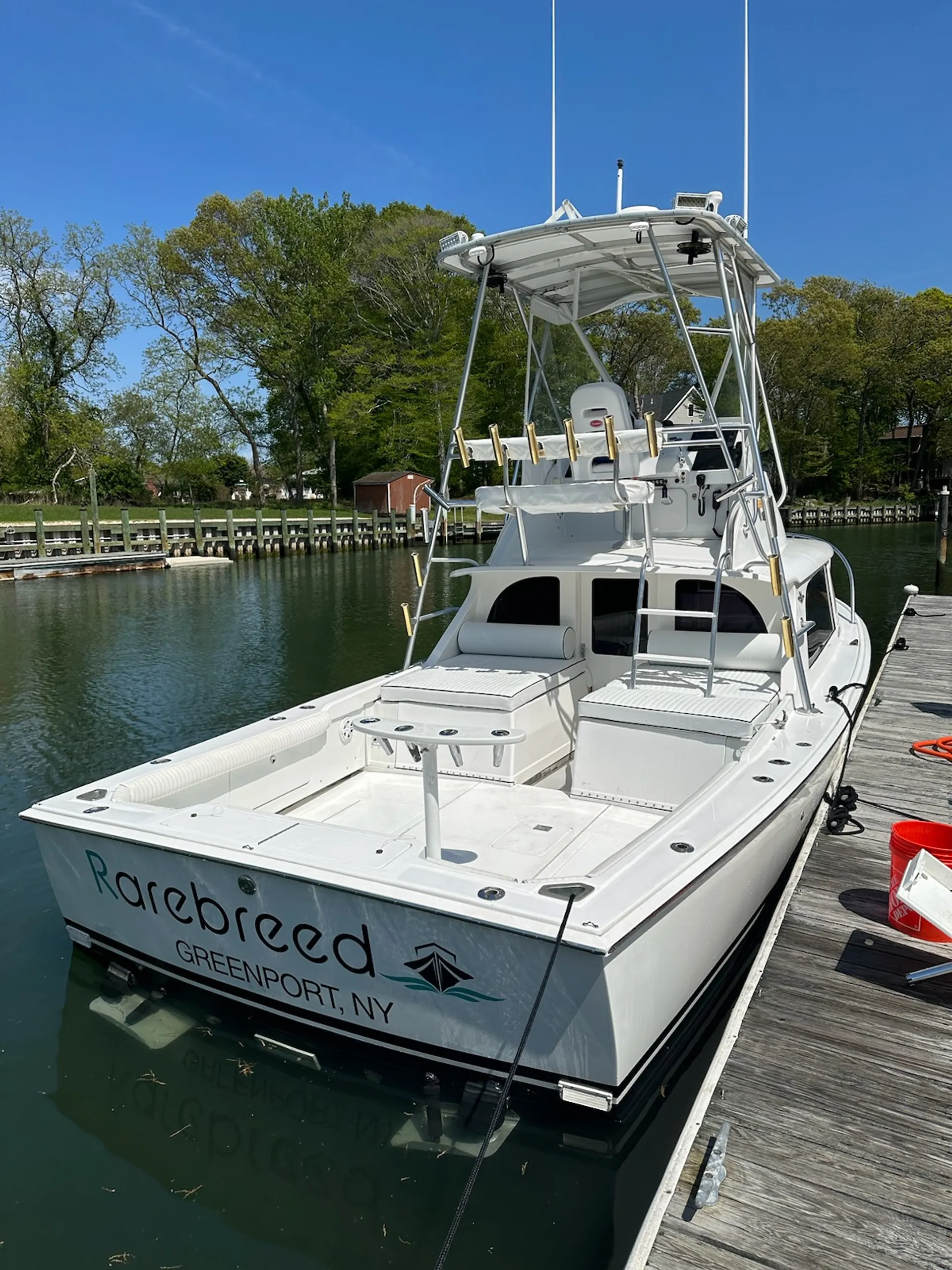 31’ Bertram with local Captain & fuel included.
