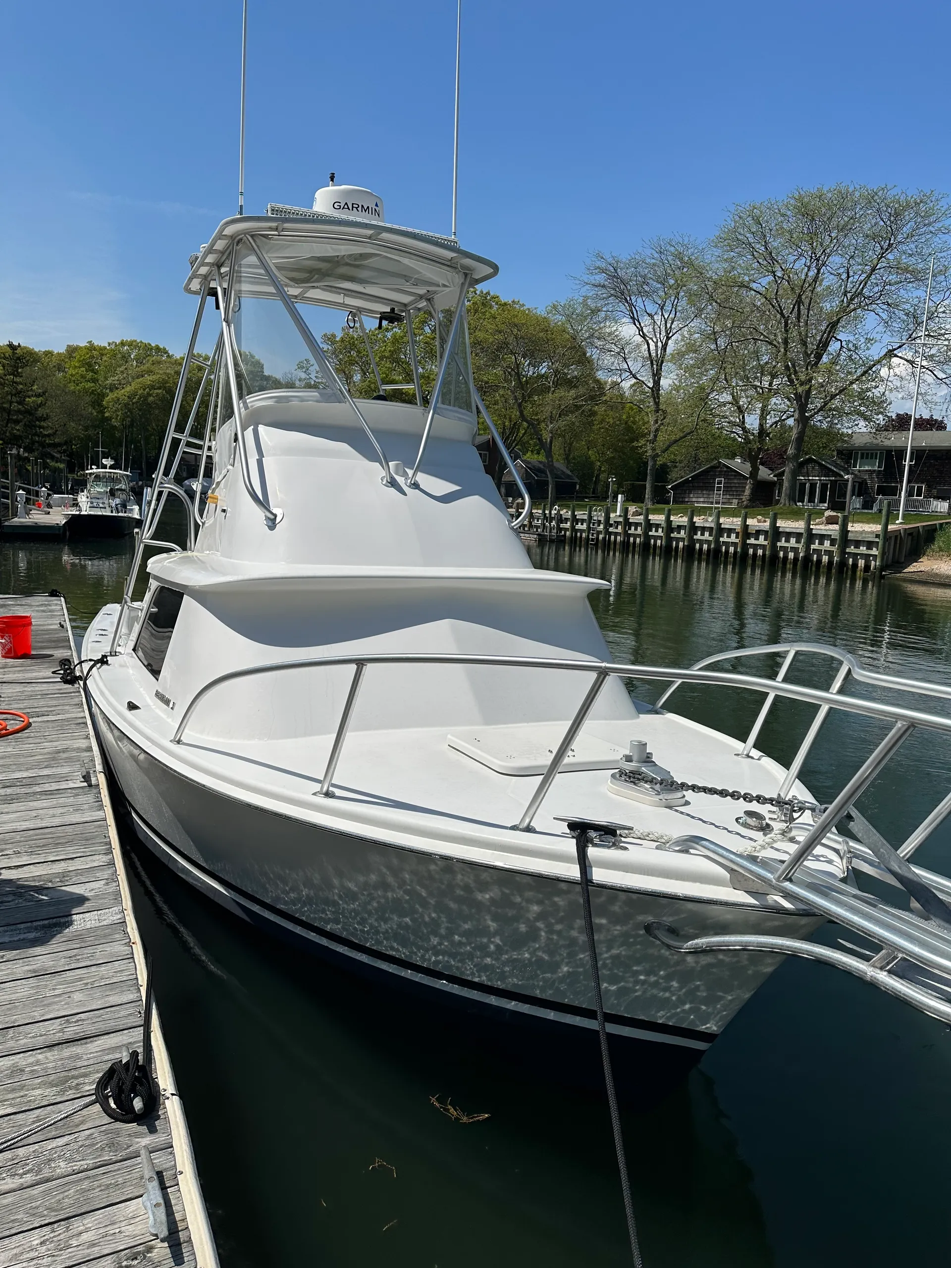 31’ Bertram with local Captain & fuel included.